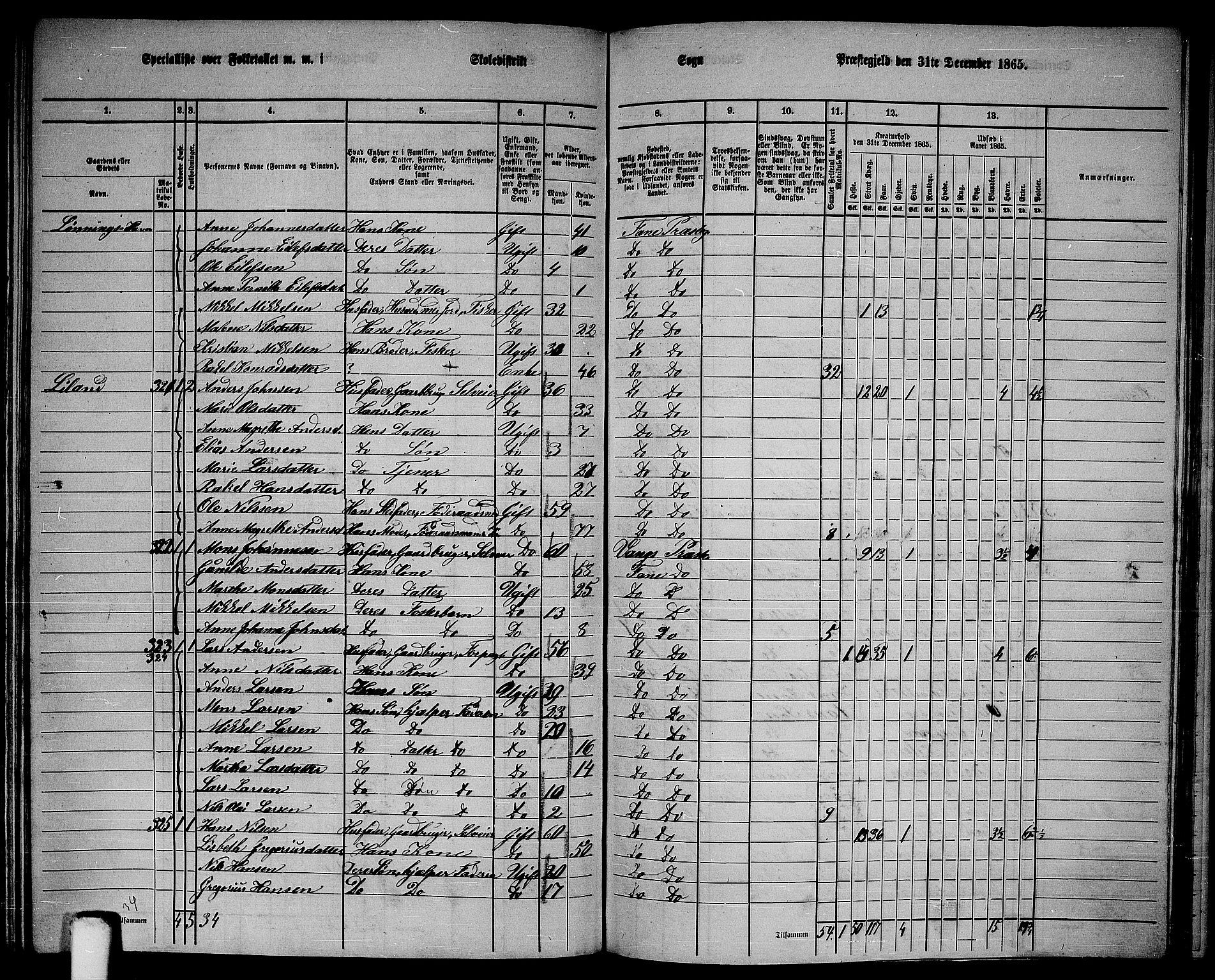 RA, 1865 census for Fana, 1865, p. 141