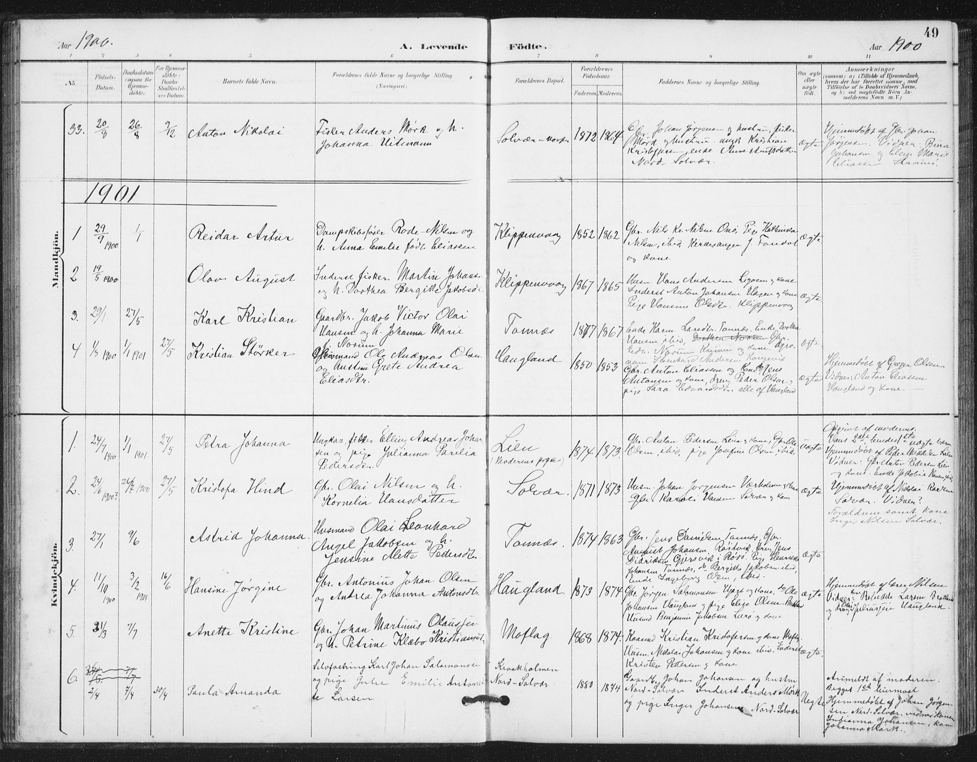 Ministerialprotokoller, klokkerbøker og fødselsregistre - Nordland, AV/SAT-A-1459/839/L0573: Parish register (copy) no. 839C03, 1892-1917, p. 49