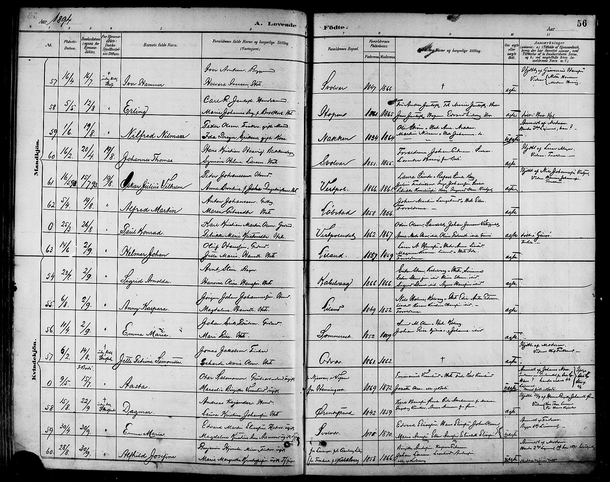 Ministerialprotokoller, klokkerbøker og fødselsregistre - Nordland, SAT/A-1459/874/L1060: Parish register (official) no. 874A04, 1890-1899, p. 56