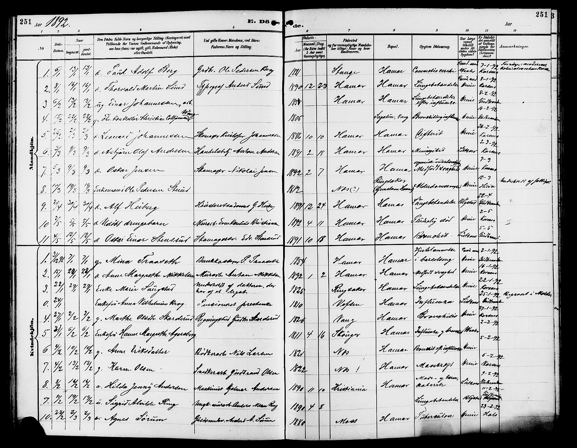 Vang prestekontor, Hedmark, AV/SAH-PREST-008/H/Ha/Hab/L0013: Parish register (copy) no. 13, 1890-1899, p. 251