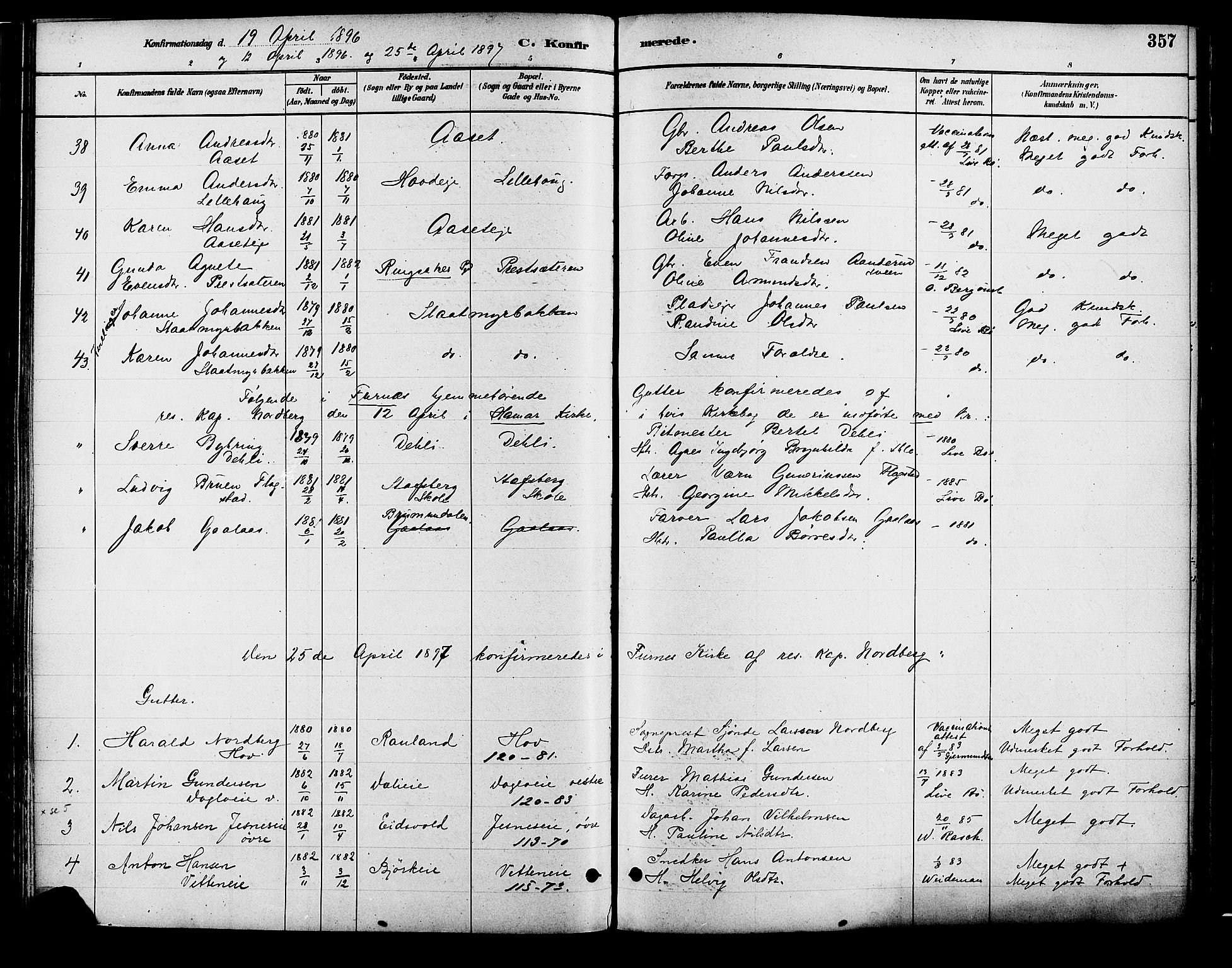 Vang prestekontor, Hedmark, SAH/PREST-008/H/Ha/Haa/L0018B: Parish register (official) no. 18B, 1880-1906, p. 357