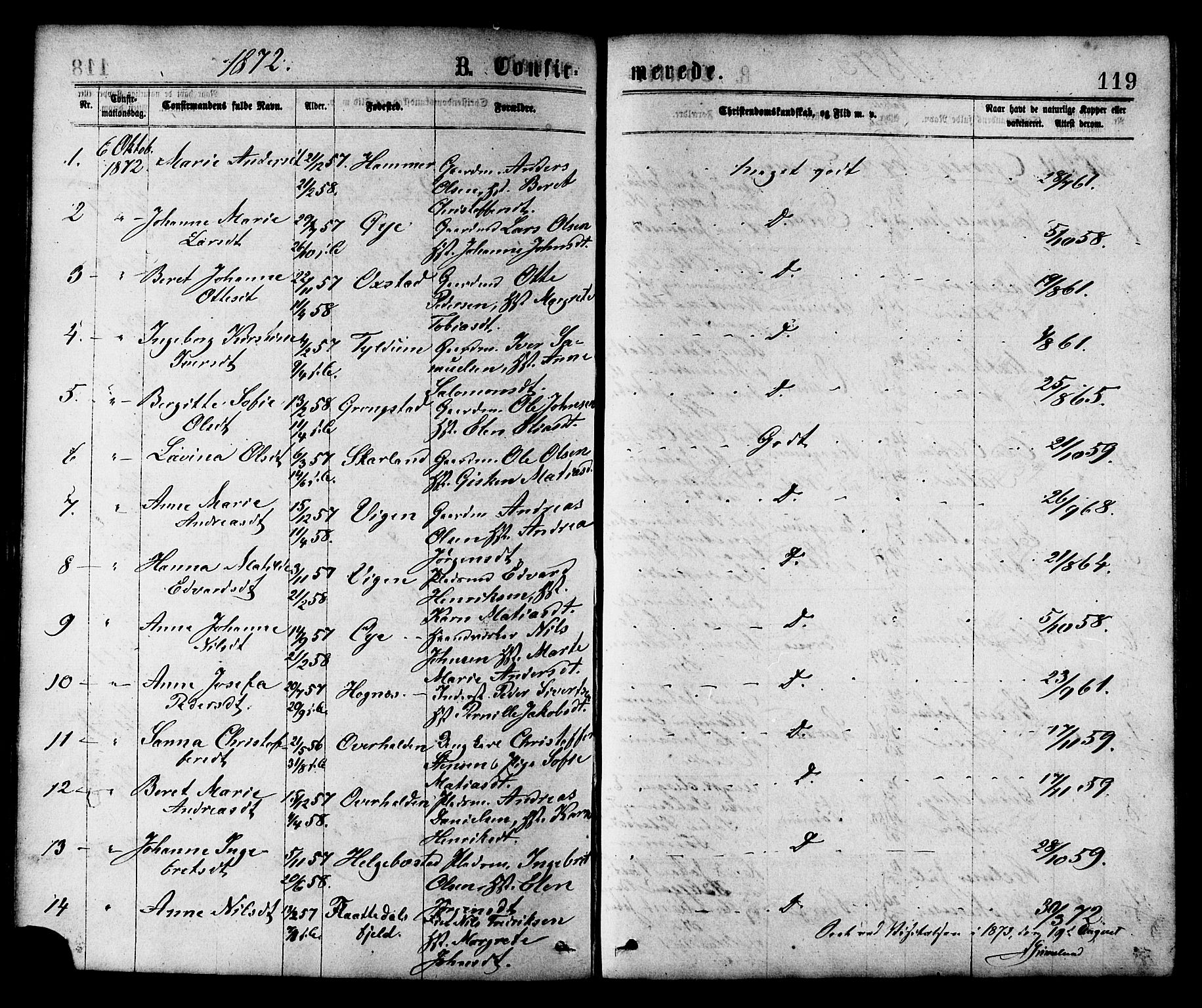 Ministerialprotokoller, klokkerbøker og fødselsregistre - Nord-Trøndelag, SAT/A-1458/758/L0516: Parish register (official) no. 758A03 /1, 1869-1879, p. 119