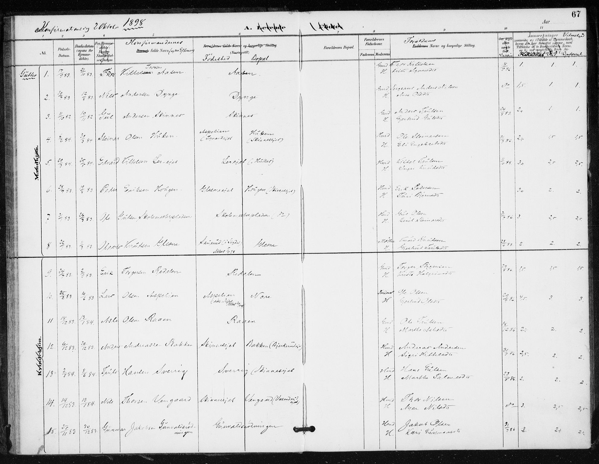 Krødsherad kirkebøker, AV/SAKO-A-19/F/Fa/L0006: Parish register (official) no. 6, 1889-1899, p. 67