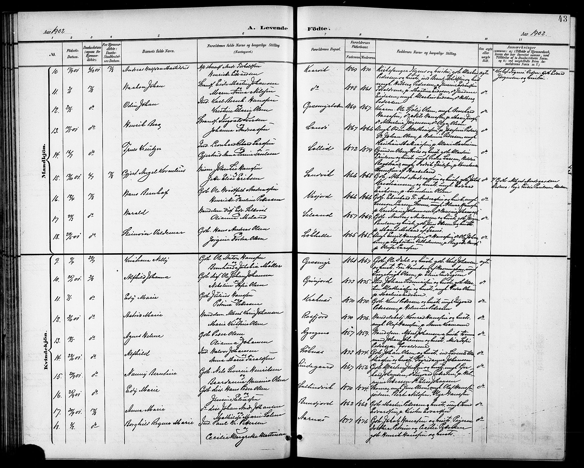 Lenvik sokneprestembete, AV/SATØ-S-1310/H/Ha/Hab/L0008klokker: Parish register (copy) no. 8, 1899-1911, p. 43