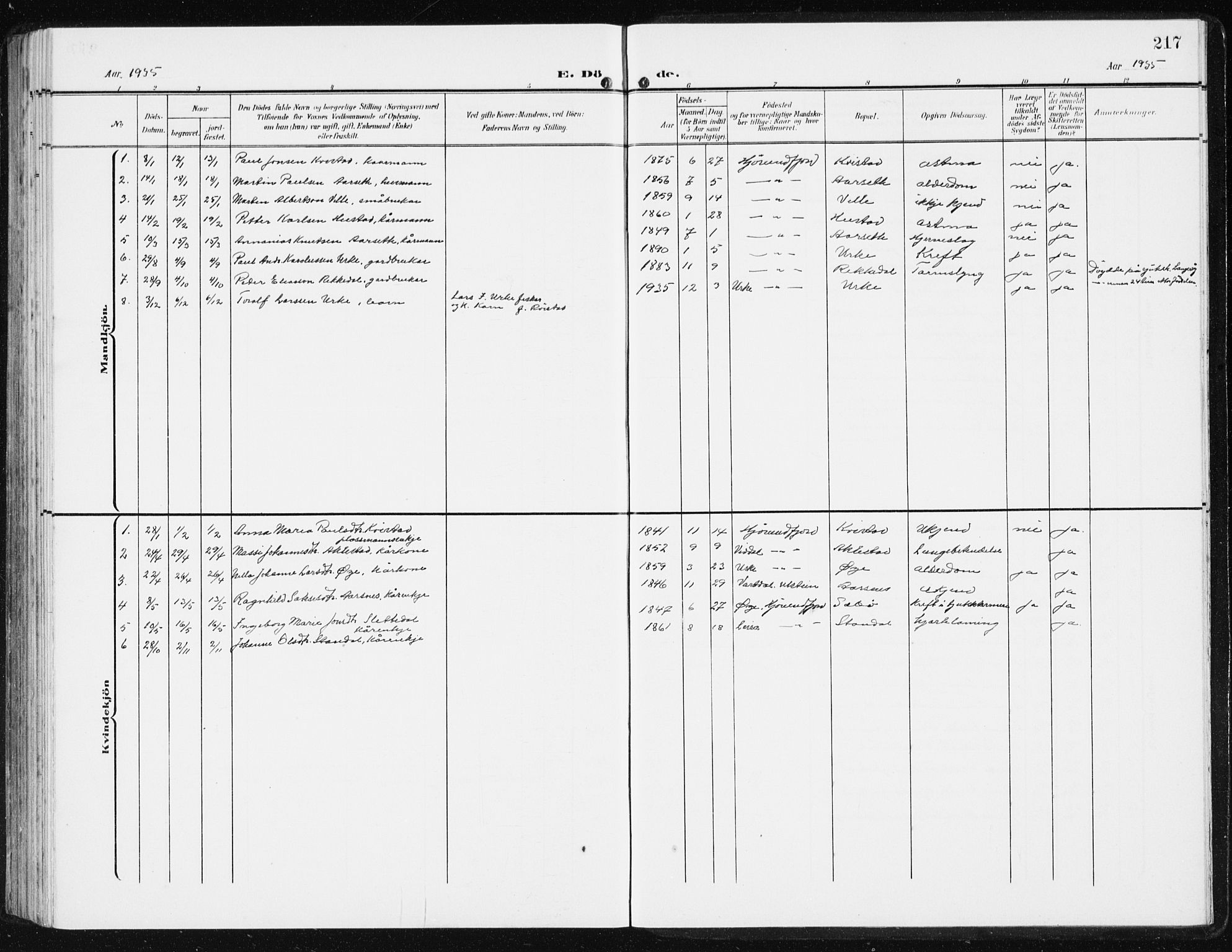 Ministerialprotokoller, klokkerbøker og fødselsregistre - Møre og Romsdal, SAT/A-1454/515/L0216: Parish register (copy) no. 515C03, 1906-1941, p. 217