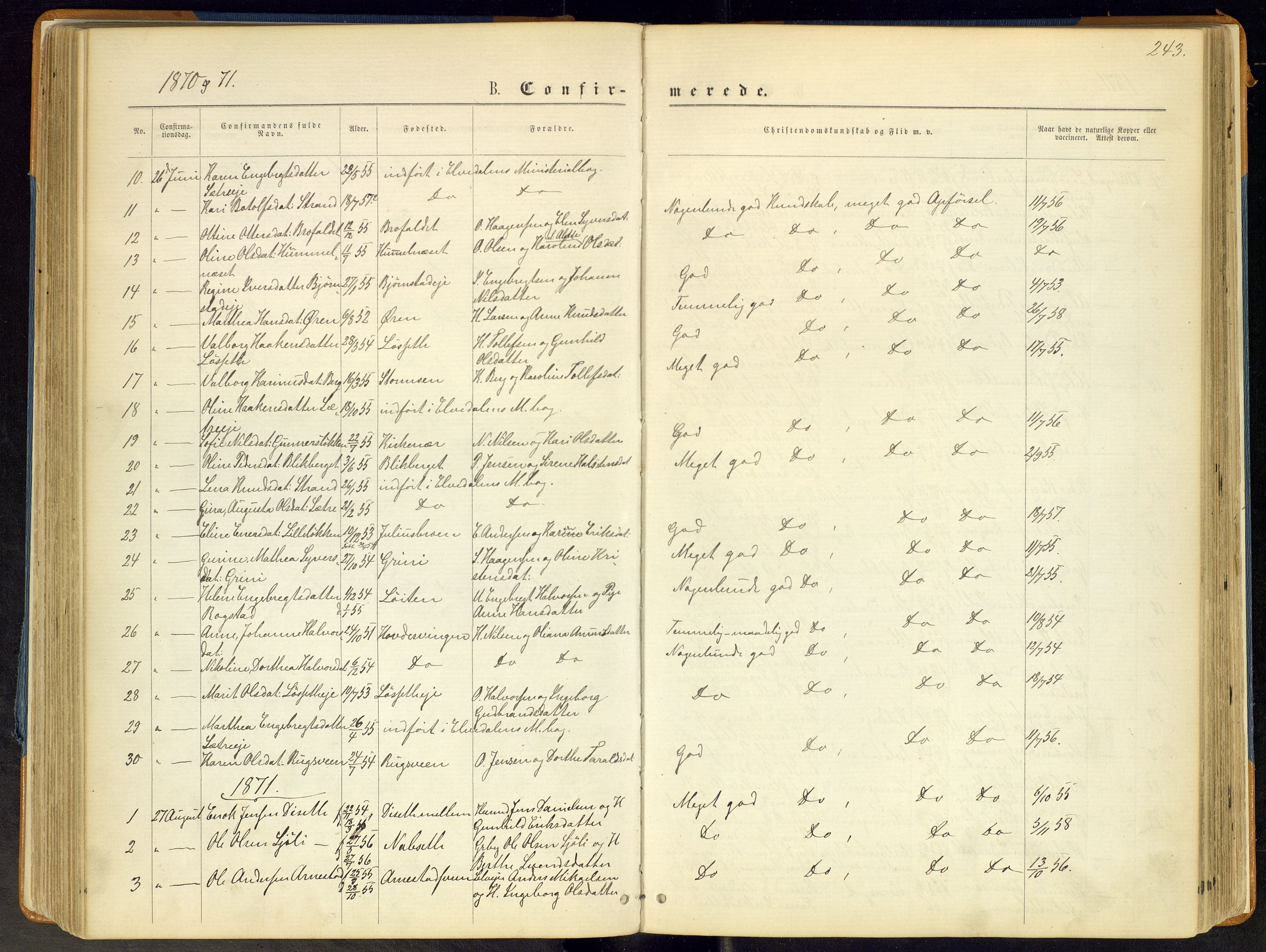 Åmot prestekontor, Hedmark, AV/SAH-PREST-056/H/Ha/Haa/L0008: Parish register (official) no. 8, 1862-1875, p. 243