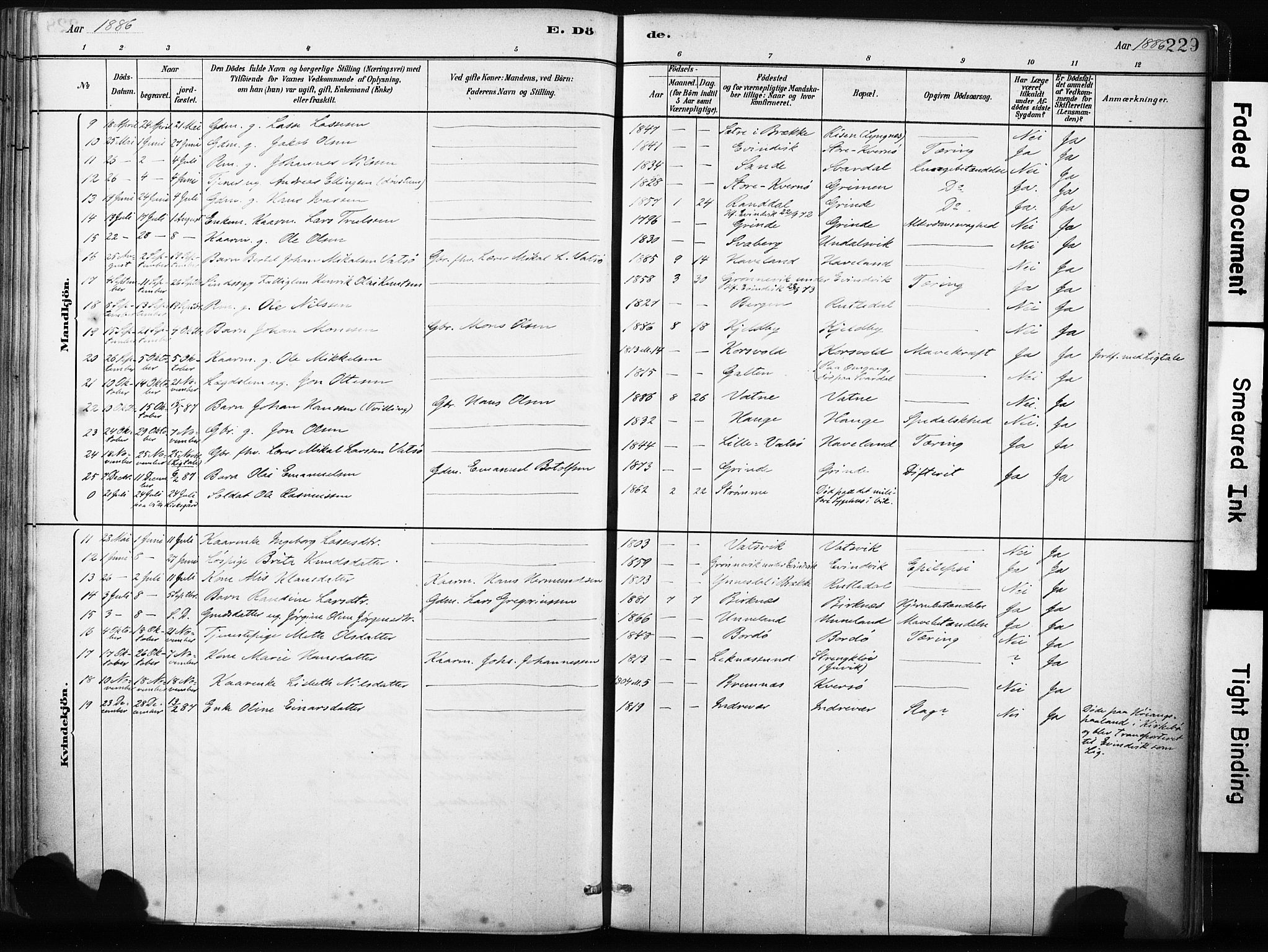 Gulen sokneprestembete, AV/SAB-A-80201/H/Haa/Haab/L0001: Parish register (official) no. B 1, 1881-1905, p. 229