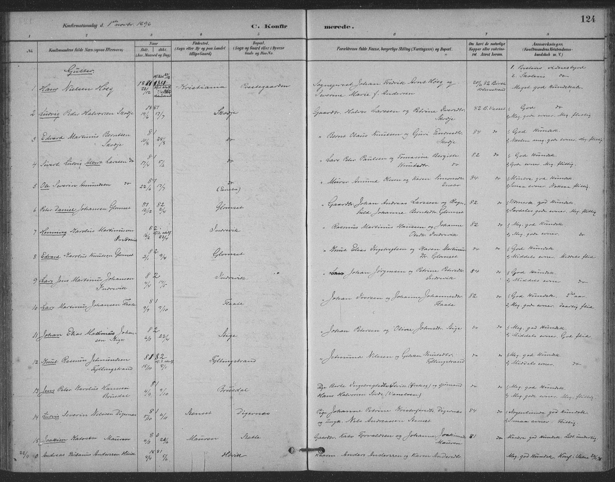 Ministerialprotokoller, klokkerbøker og fødselsregistre - Møre og Romsdal, AV/SAT-A-1454/524/L0356: Parish register (official) no. 524A08, 1880-1899, p. 124