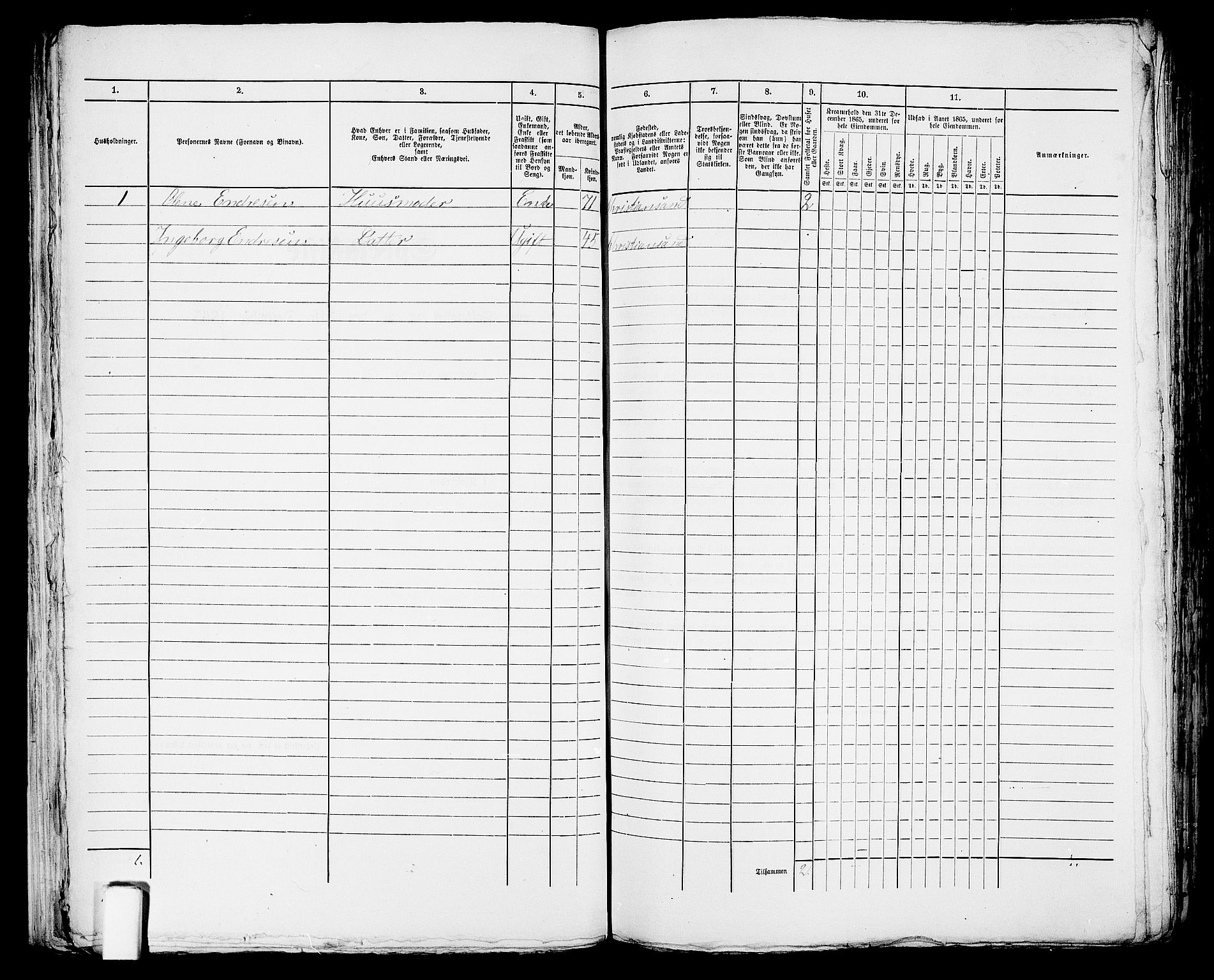 RA, 1865 census for Kristiansand, 1865, p. 1639