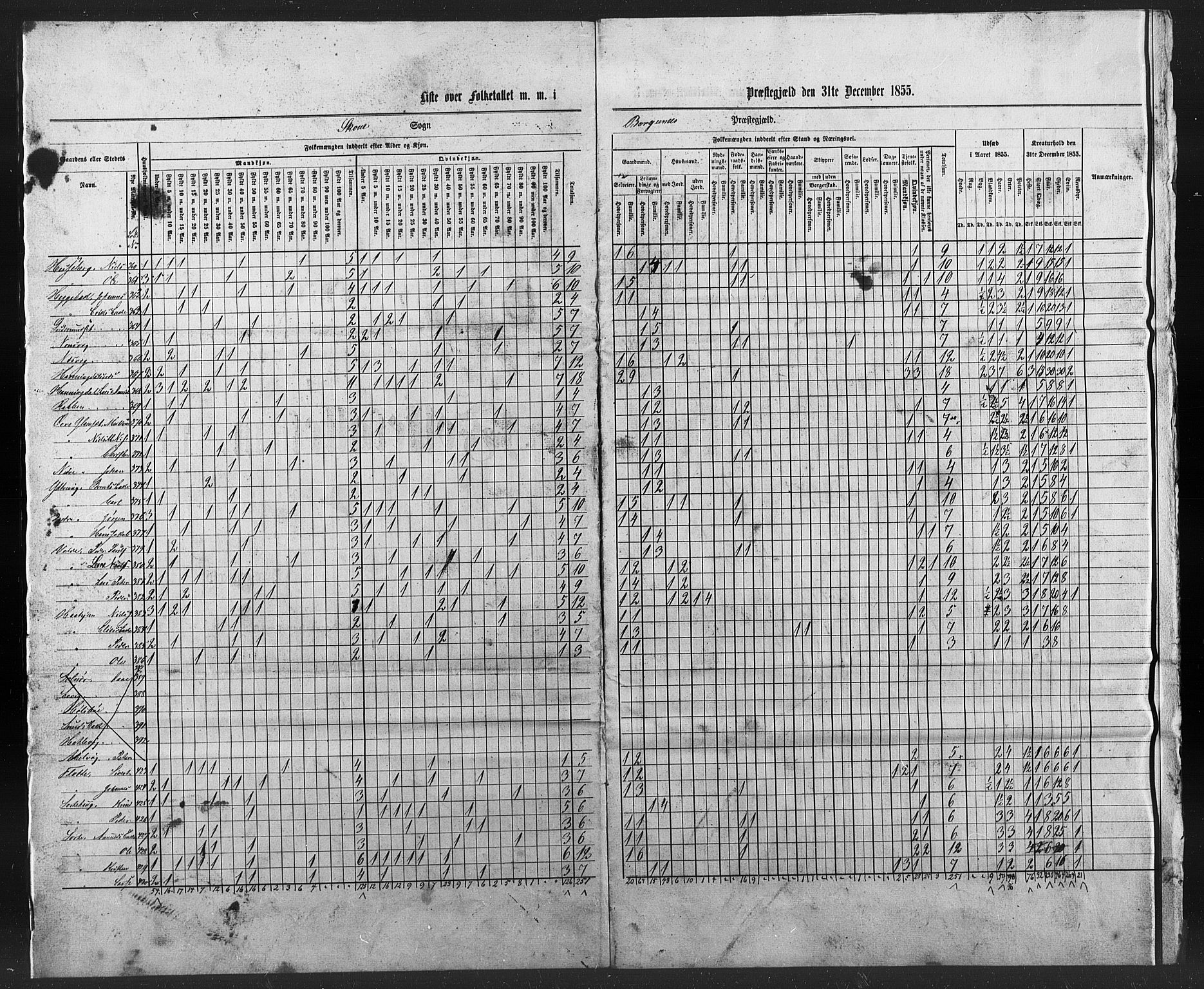 SAT, Census 1855 for Borgund, 1855, p. 37