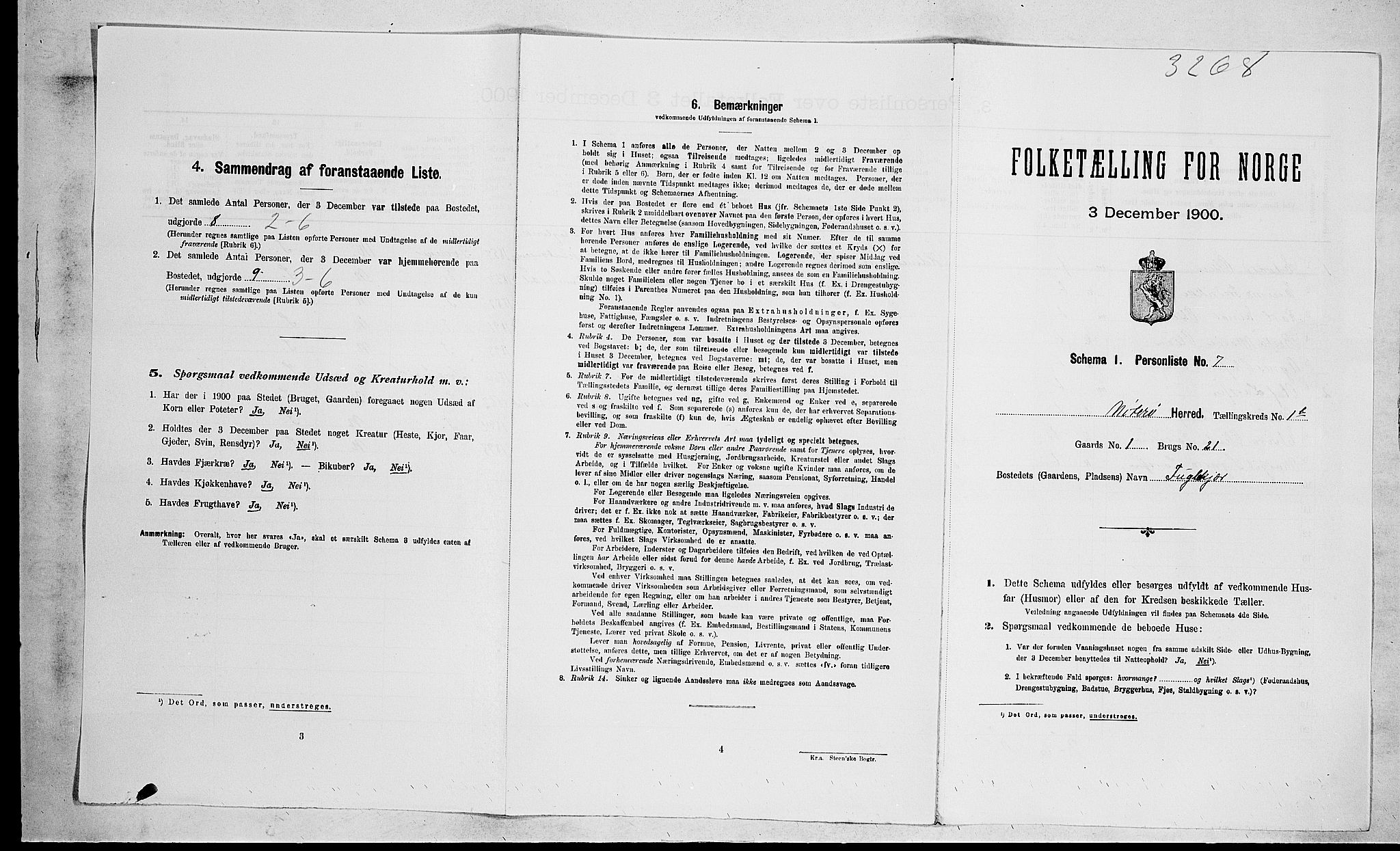 RA, 1900 census for Nøtterøy, 1900, p. 366