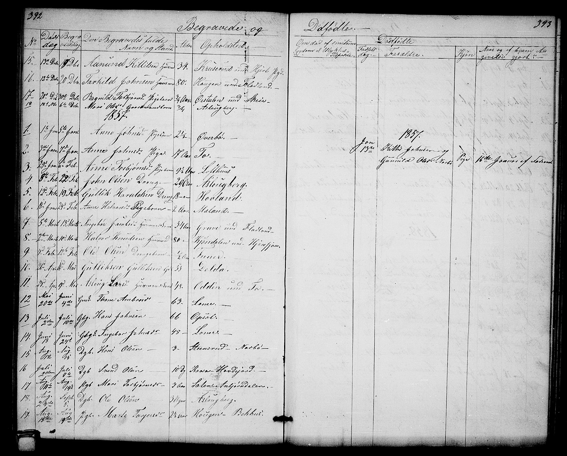Hjartdal kirkebøker, SAKO/A-270/G/Ga/L0002: Parish register (copy) no. I 2, 1854-1888, p. 392-393