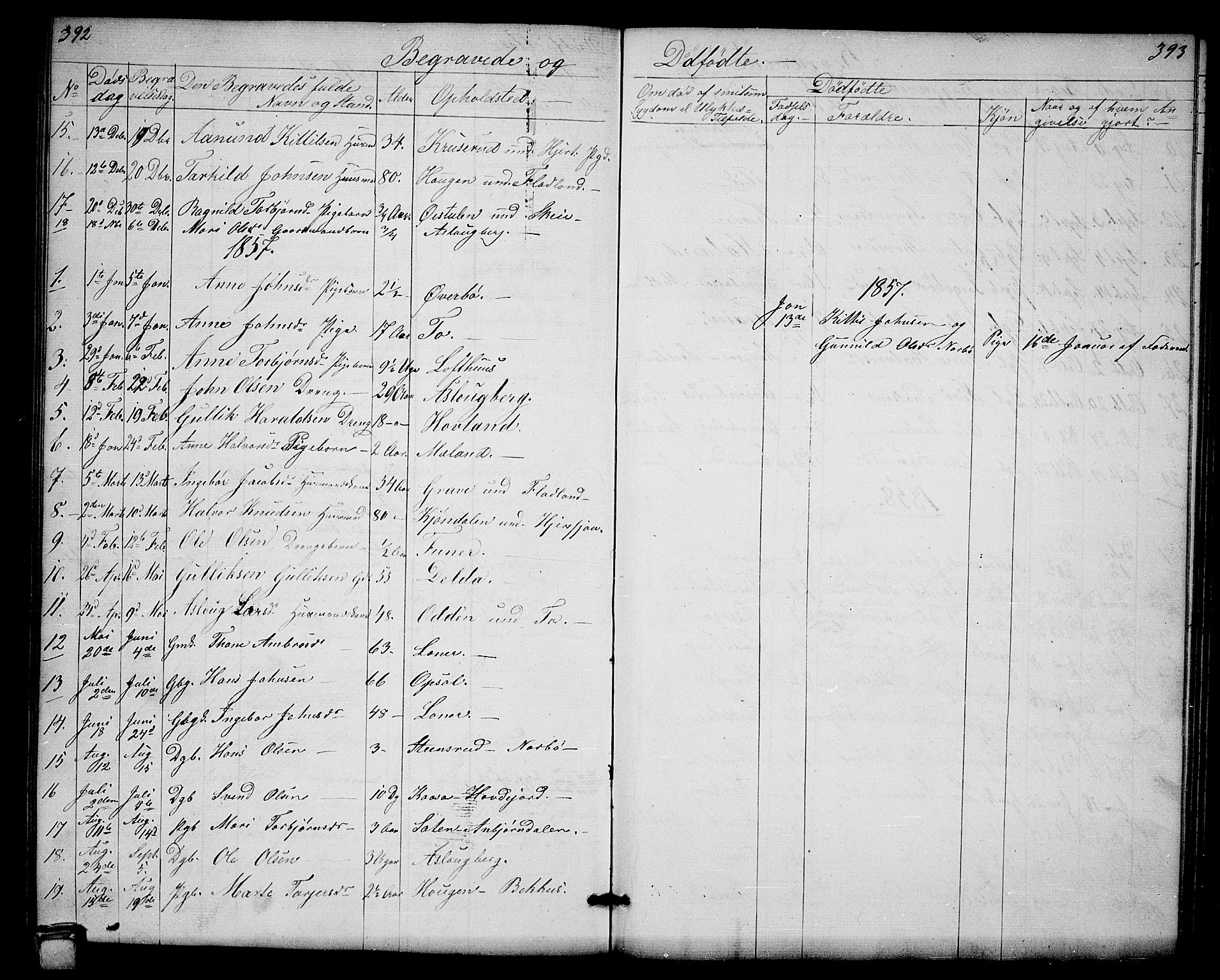 Hjartdal kirkebøker, AV/SAKO-A-270/G/Ga/L0002: Parish register (copy) no. I 2, 1854-1888, p. 392-393