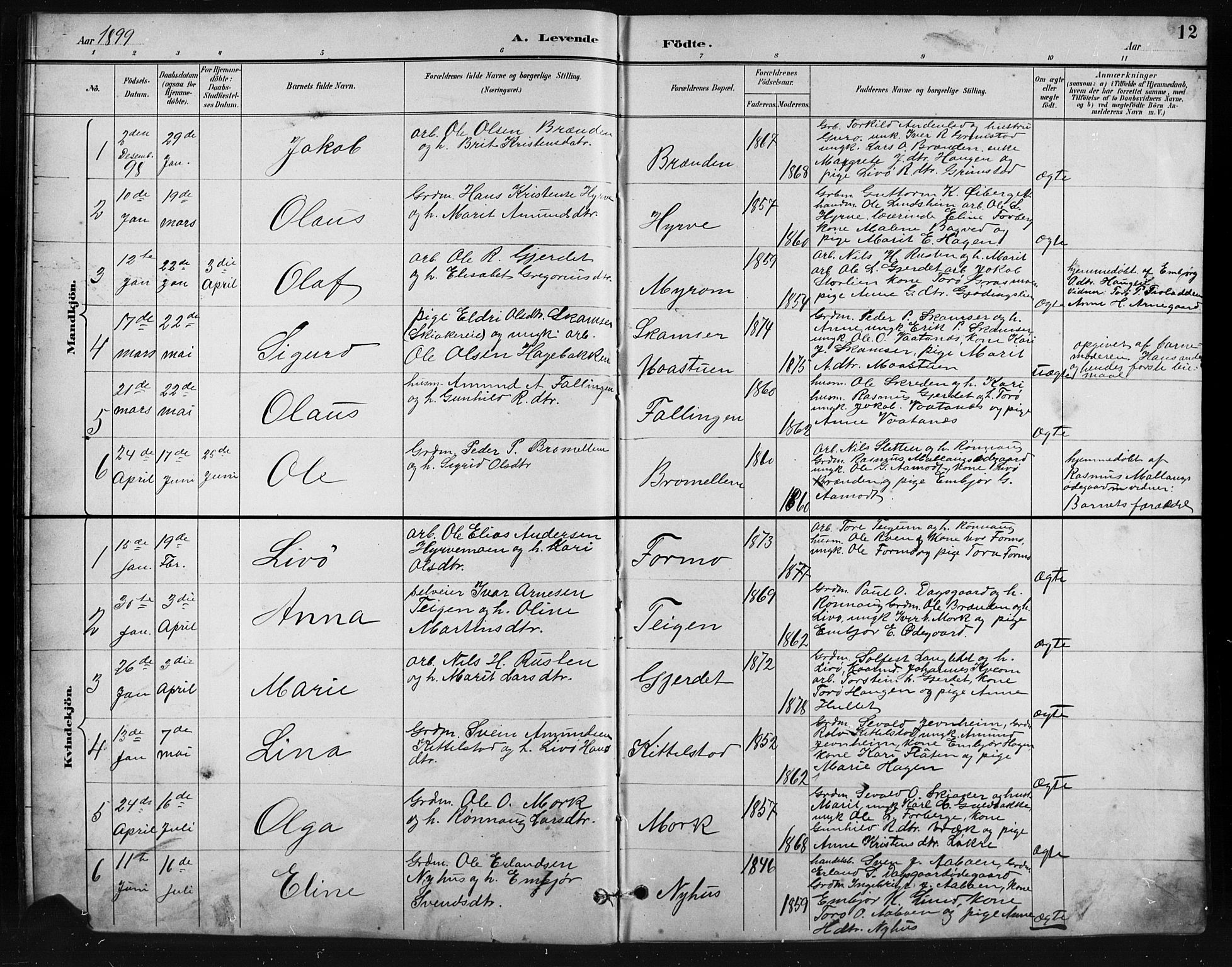 Skjåk prestekontor, AV/SAH-PREST-072/H/Ha/Hab/L0004: Parish register (copy) no. 4, 1895-1921, p. 12