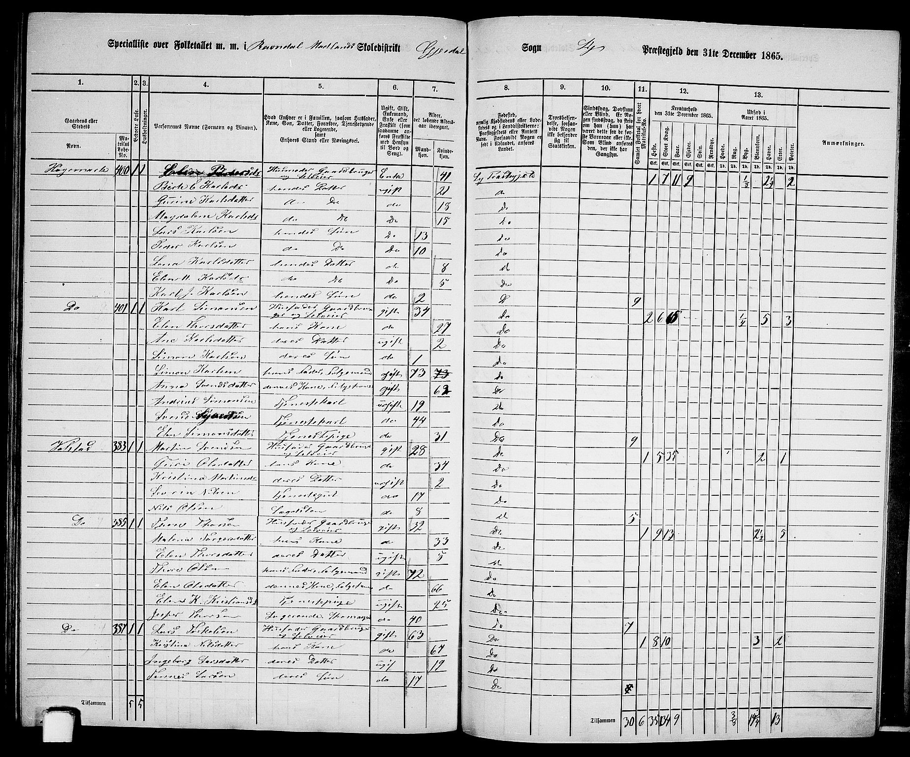 RA, 1865 census for Lye, 1865, p. 144