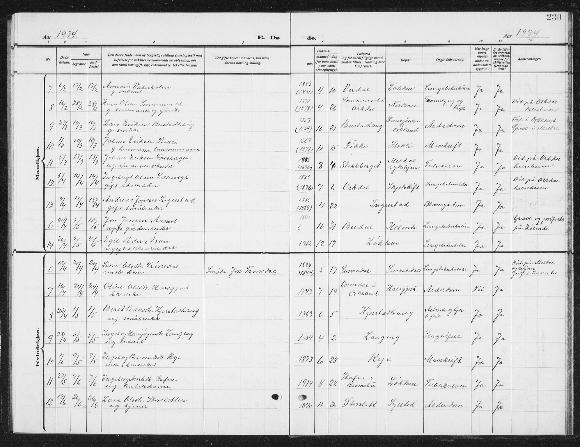 Ministerialprotokoller, klokkerbøker og fødselsregistre - Sør-Trøndelag, SAT/A-1456/672/L0866: Parish register (copy) no. 672C05, 1929-1939, p. 230