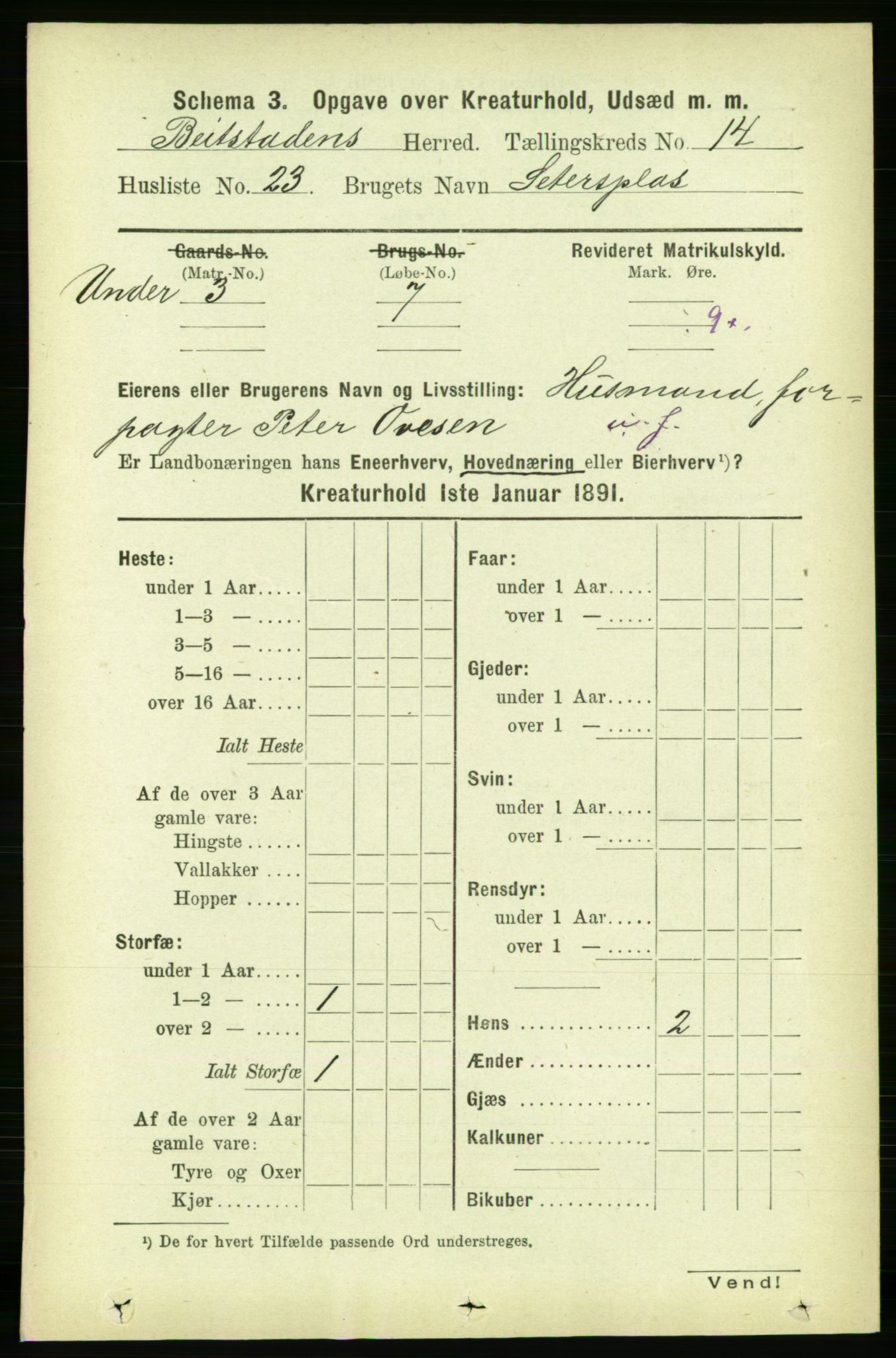 RA, 1891 census for 1727 Beitstad, 1891, p. 6597