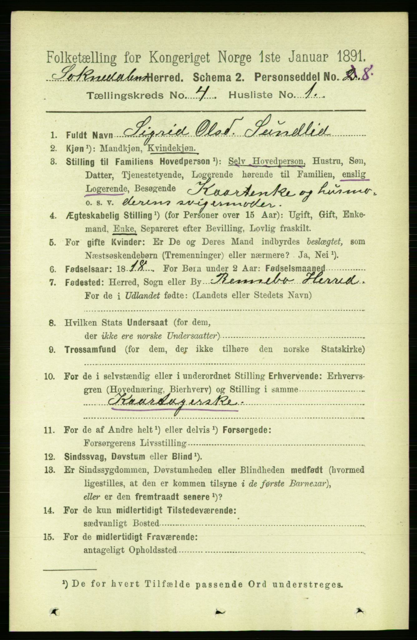 RA, 1891 census for 1649 Soknedal, 1891, p. 1608