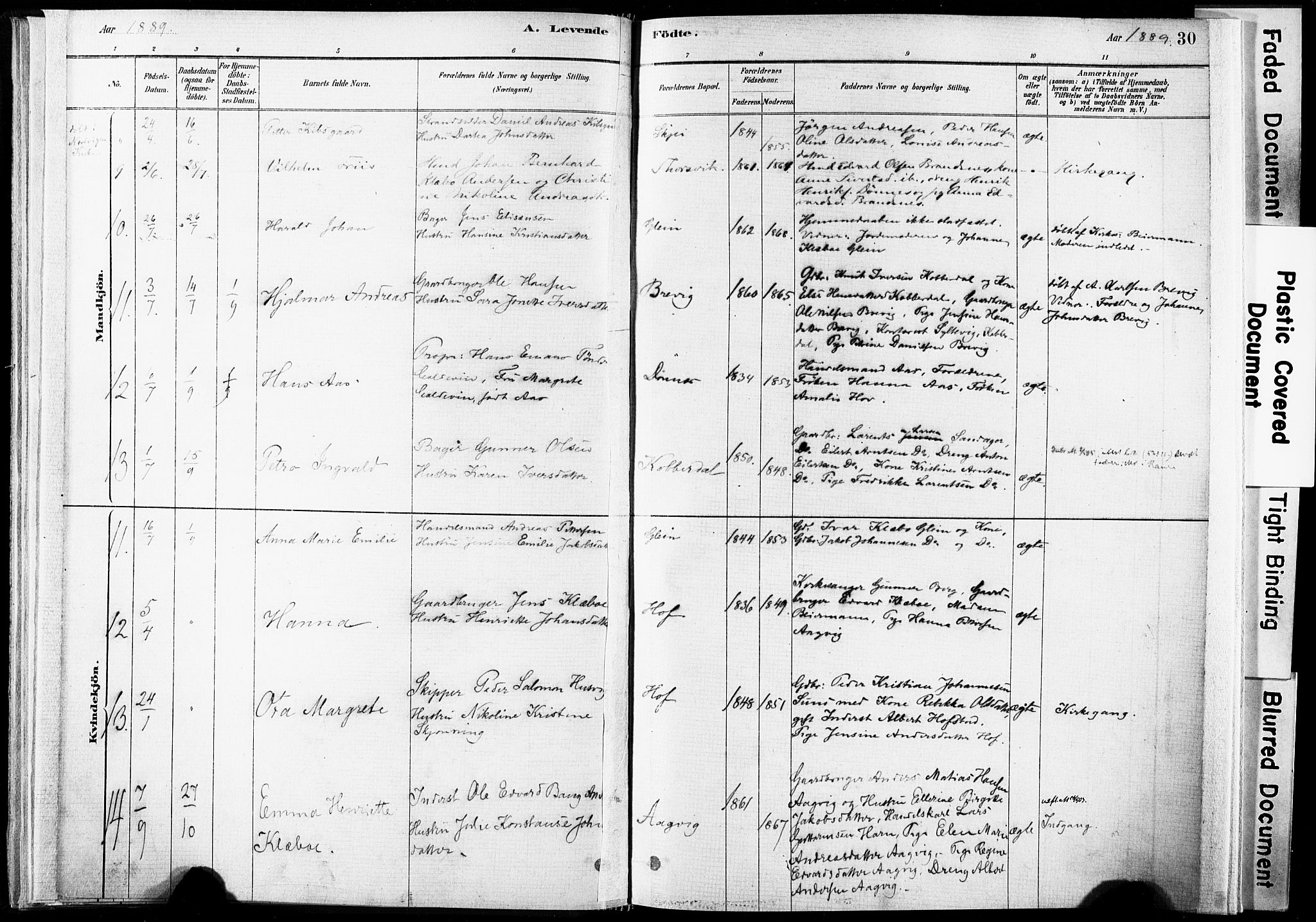 Ministerialprotokoller, klokkerbøker og fødselsregistre - Nordland, SAT/A-1459/835/L0525: Parish register (official) no. 835A03I, 1881-1910, p. 30