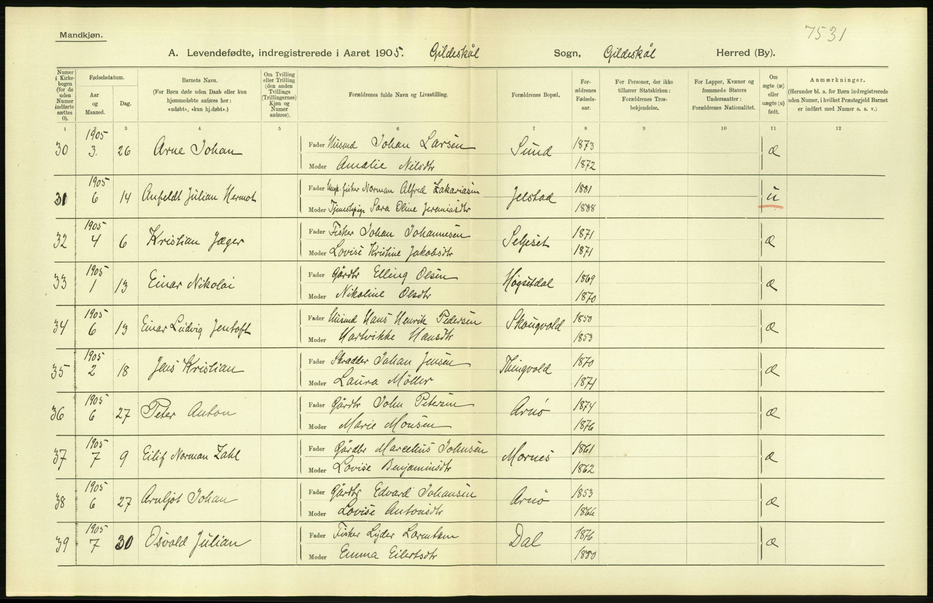 Statistisk sentralbyrå, Sosiodemografiske emner, Befolkning, AV/RA-S-2228/D/Df/Dfa/Dfac/L0037: Nordlands amt: Levendefødte menn og kvinner. Bygder, 1905, p. 8