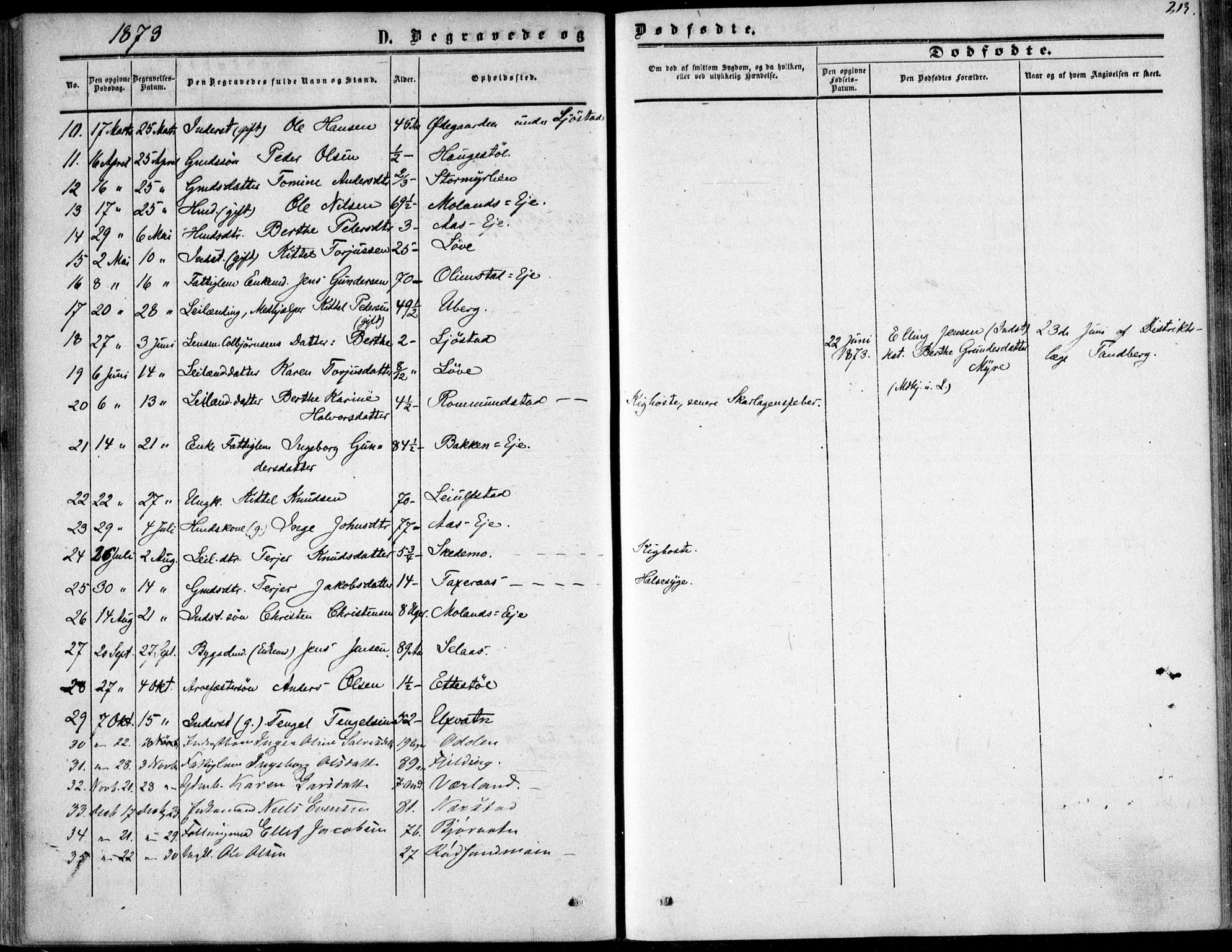 Gjerstad sokneprestkontor, SAK/1111-0014/F/Fa/Fab/L0003: Parish register (official) no. A 3, 1853-1878, p. 213