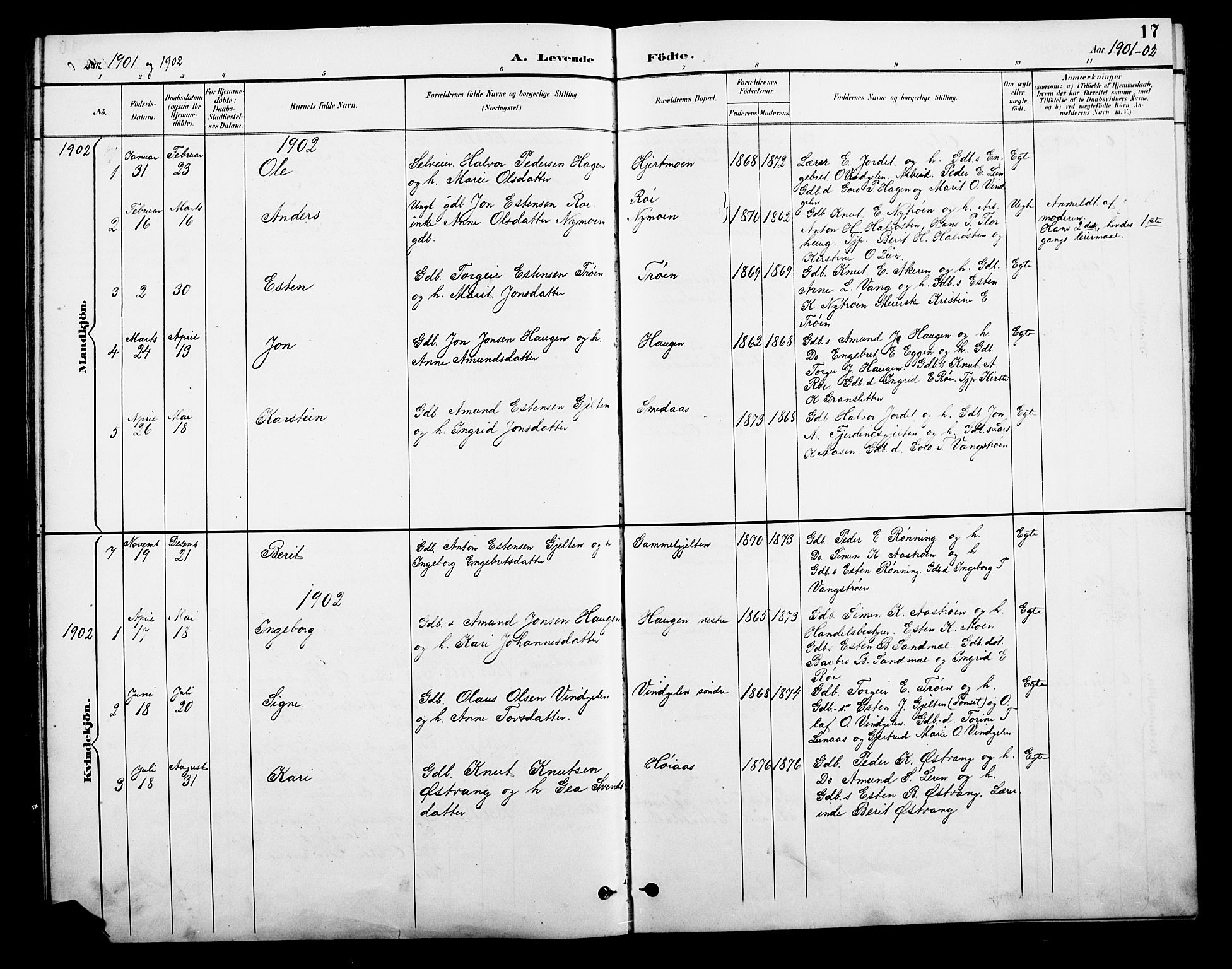 Tolga prestekontor, SAH/PREST-062/L/L0010: Parish register (copy) no. 10, 1894-1918, p. 17