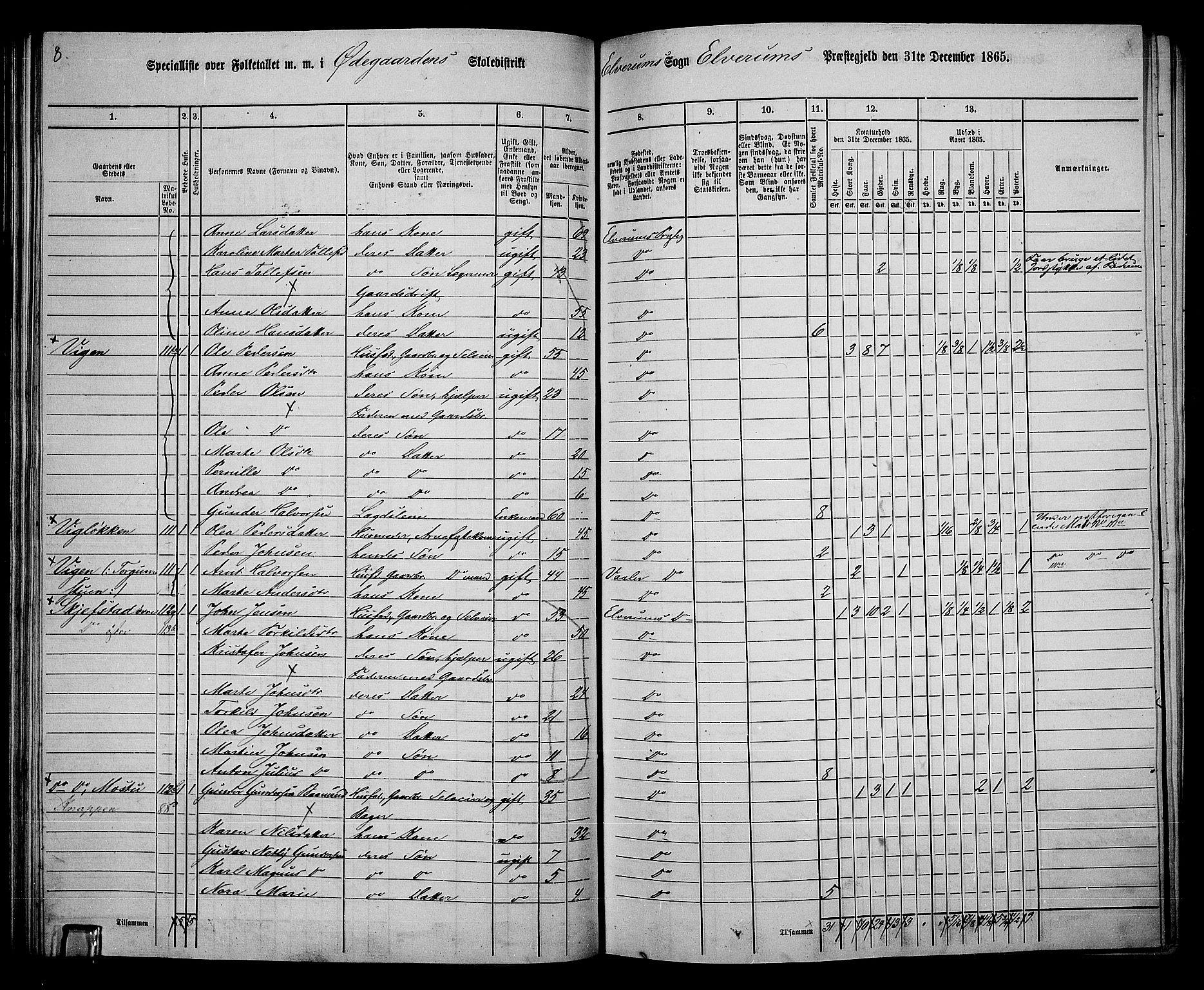 RA, 1865 census for Elverum, 1865, p. 63