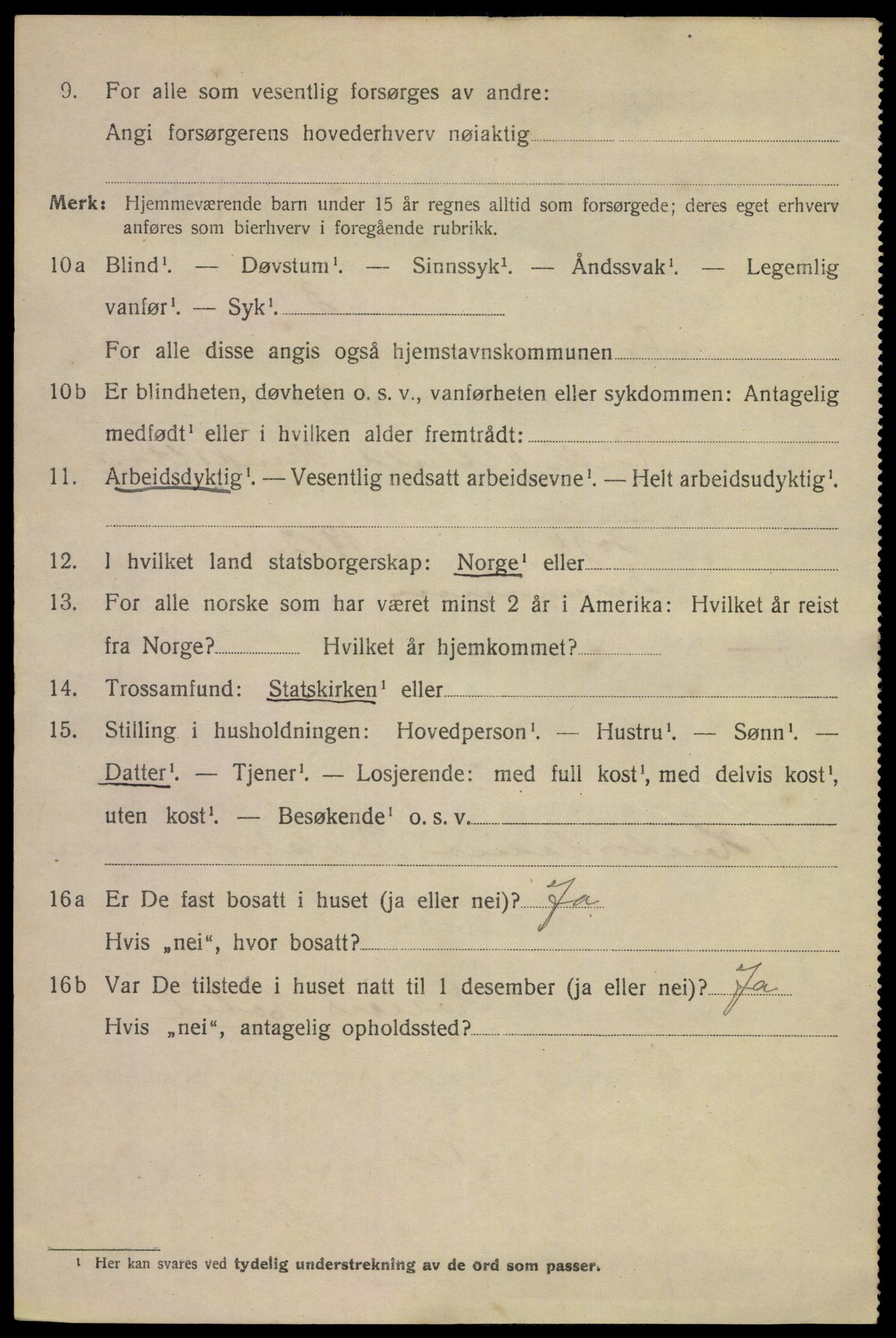 SAKO, 1920 census for Skien, 1920, p. 37305