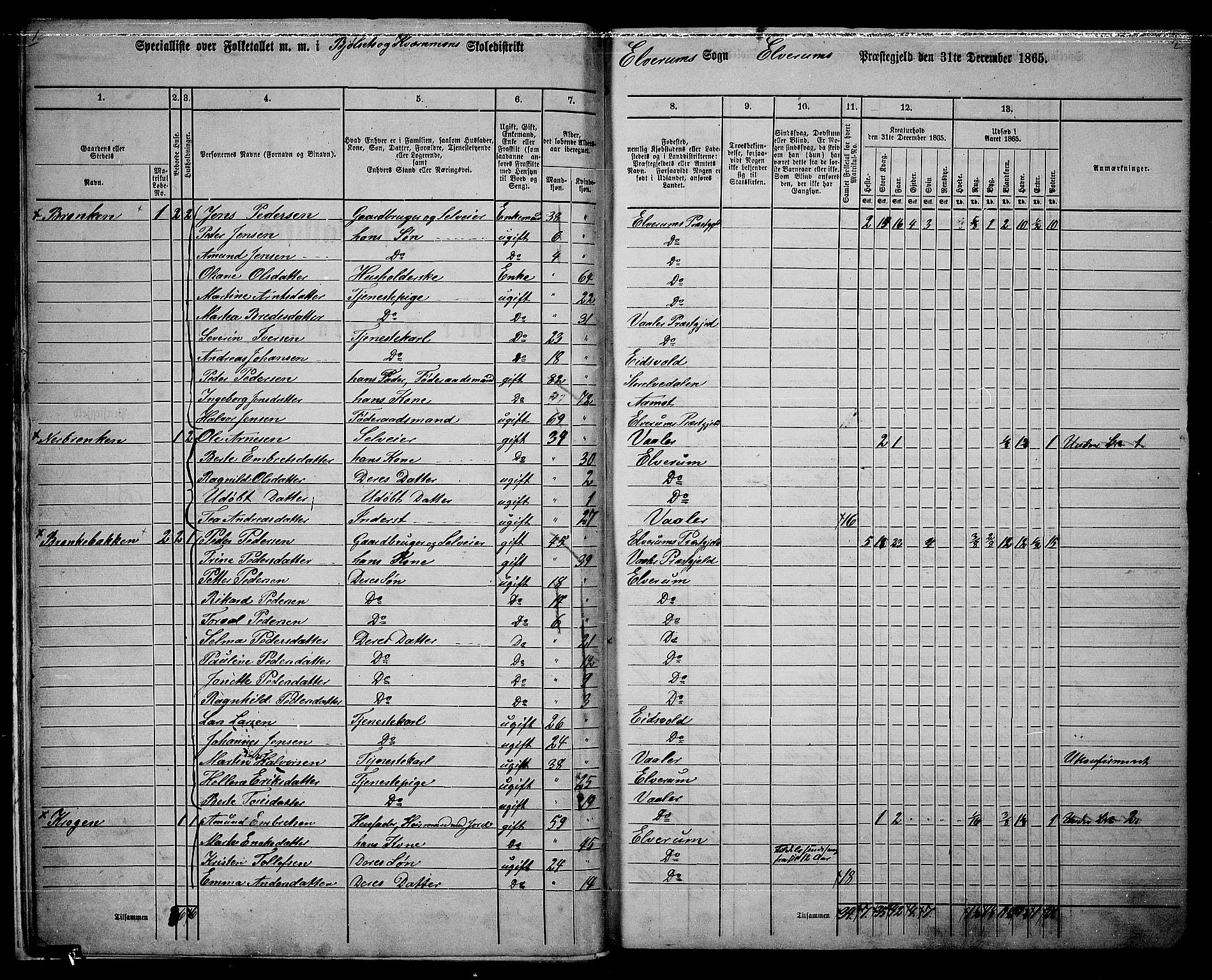 RA, 1865 census for Elverum, 1865, p. 12