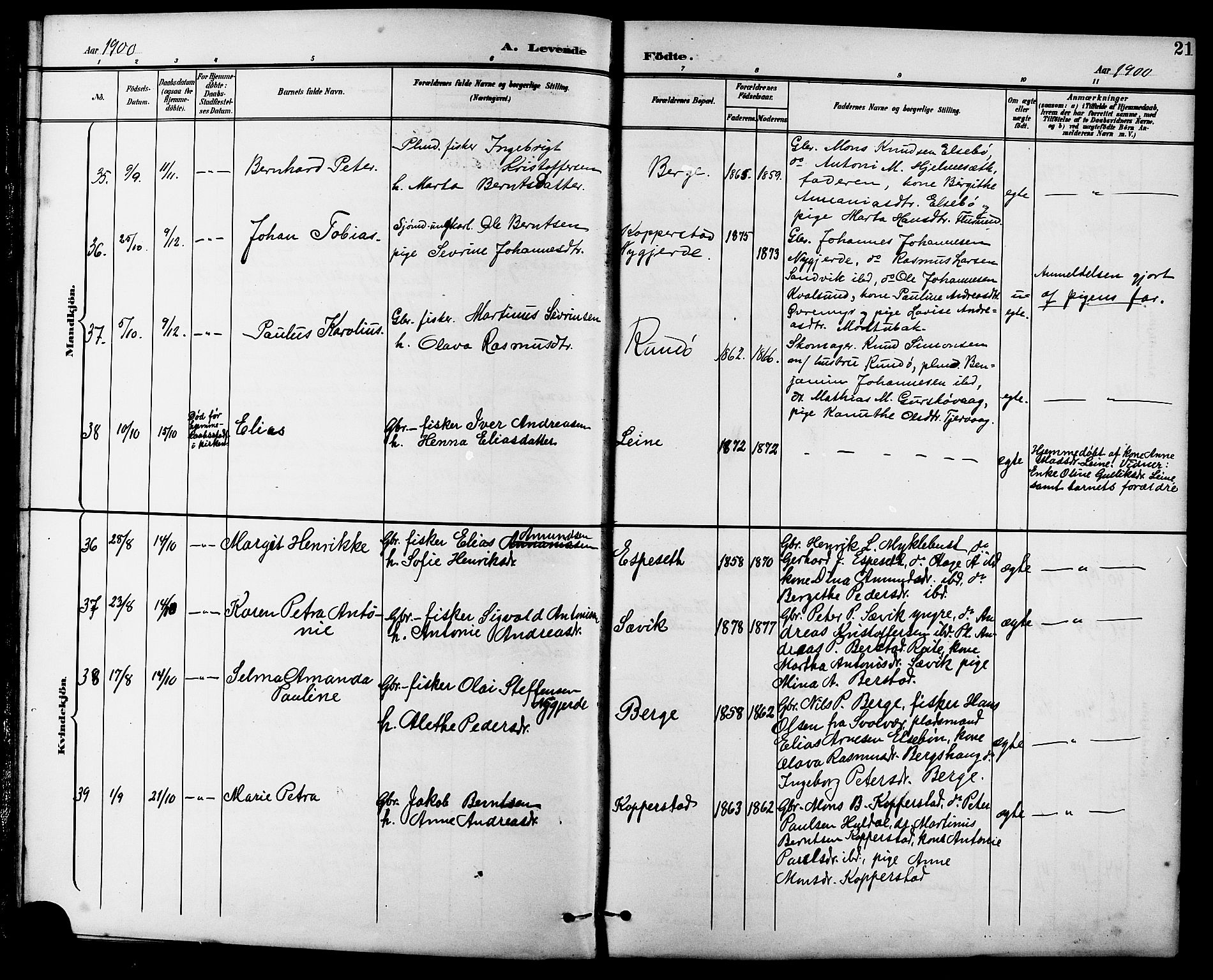 Ministerialprotokoller, klokkerbøker og fødselsregistre - Møre og Romsdal, AV/SAT-A-1454/507/L0082: Parish register (copy) no. 507C05, 1896-1914, p. 21