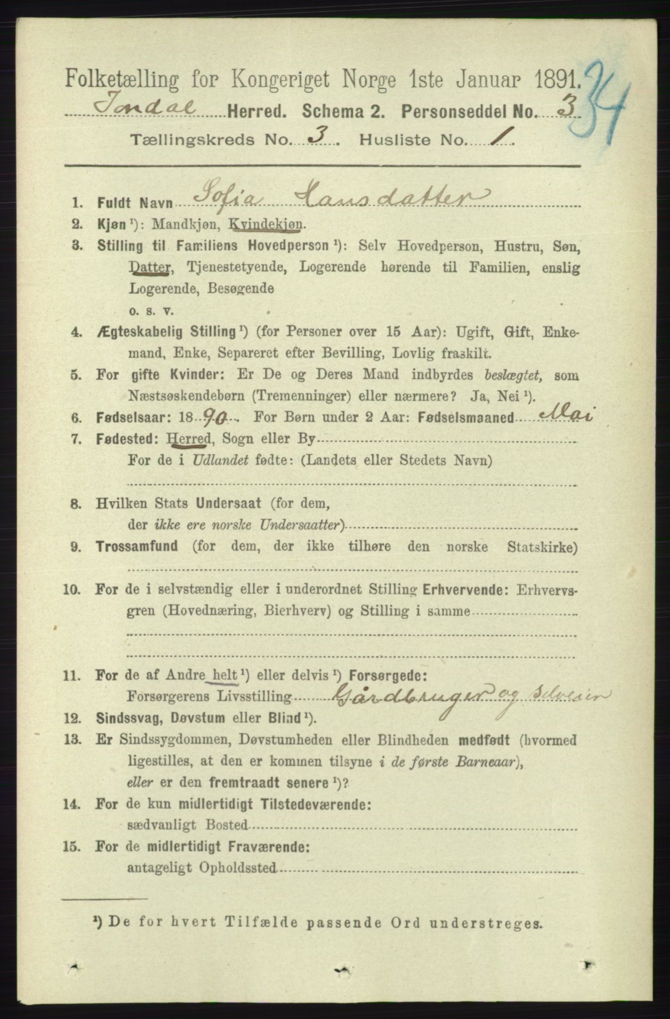 RA, 1891 census for 1227 Jondal, 1891, p. 1302
