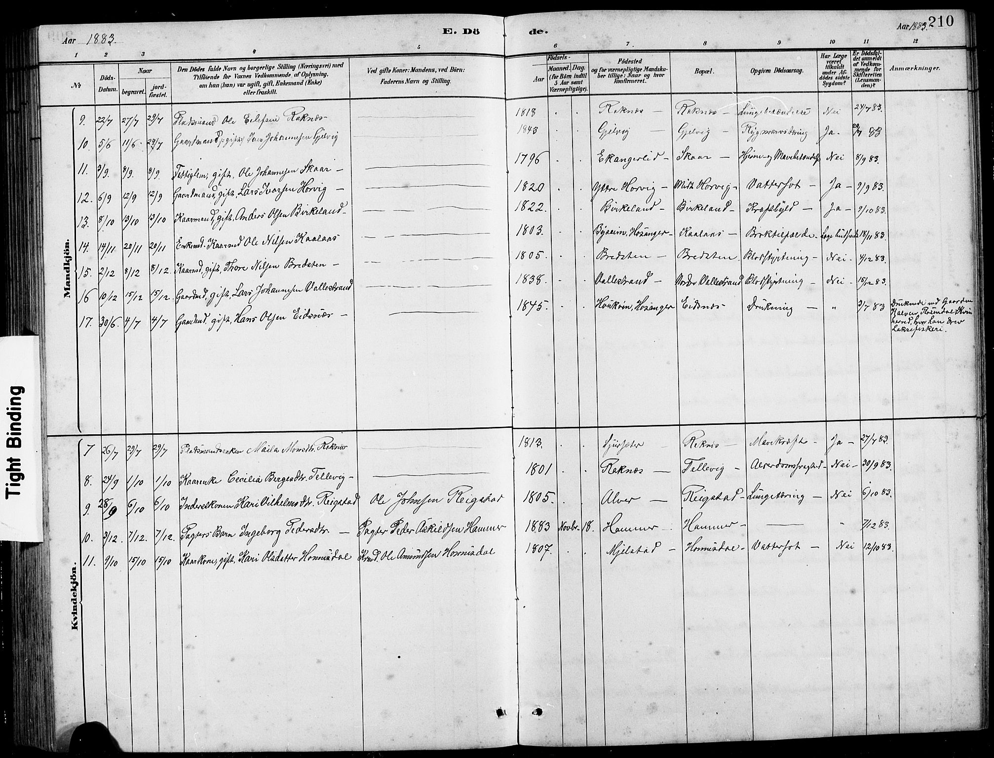 Hamre sokneprestembete, AV/SAB-A-75501/H/Ha/Hab: Parish register (copy) no. B 3, 1881-1898, p. 210