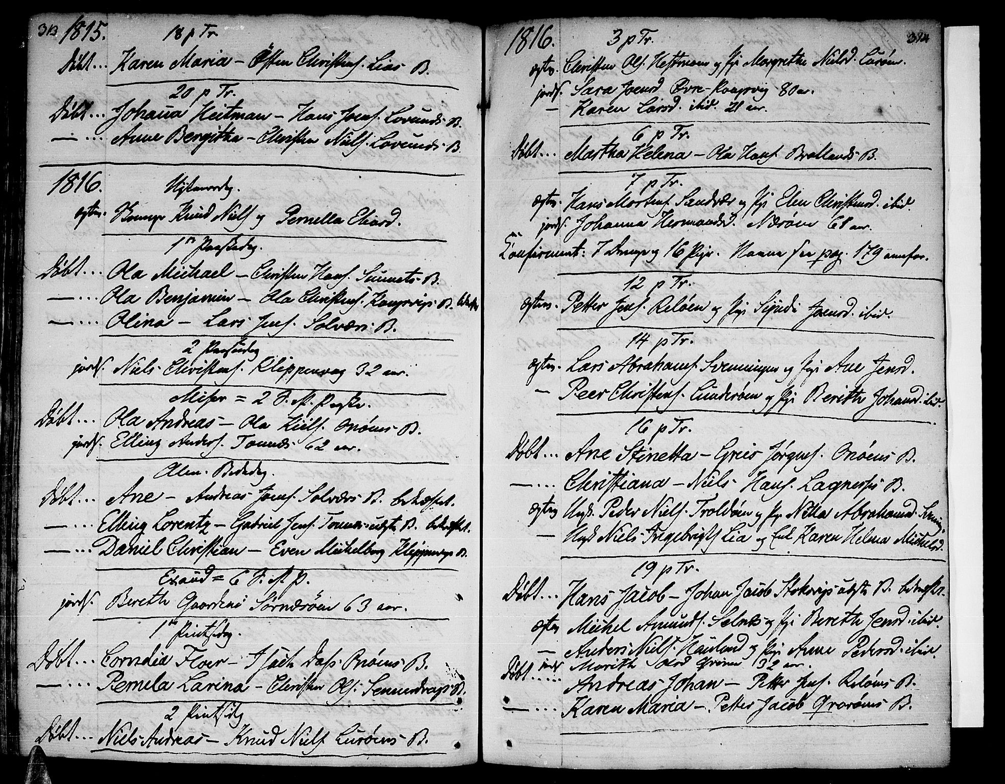 Ministerialprotokoller, klokkerbøker og fødselsregistre - Nordland, AV/SAT-A-1459/839/L0563: Parish register (official) no. 839A01 /1, 1767-1824, p. 313-314