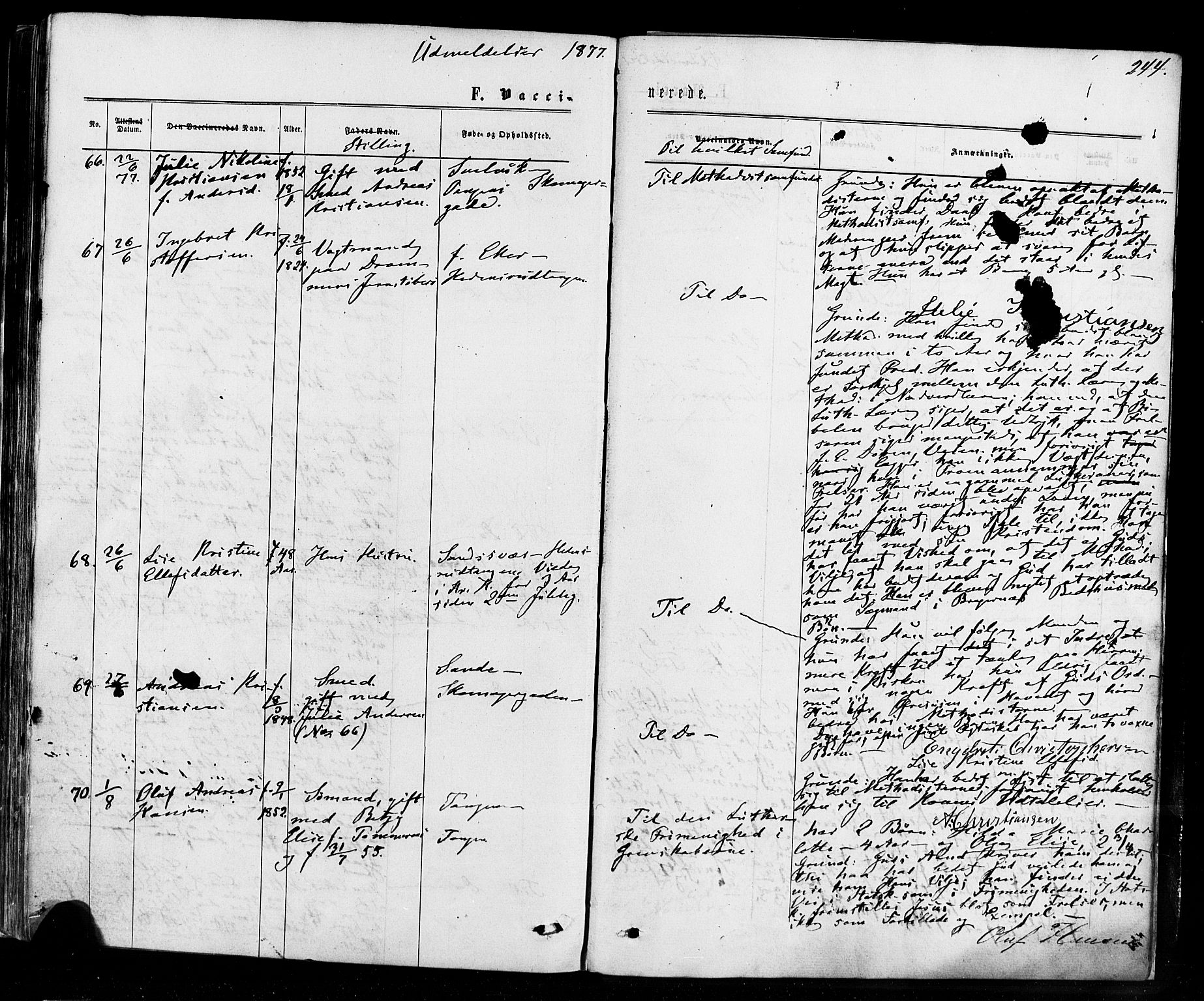 Strømsø kirkebøker, AV/SAKO-A-246/F/Fa/L0018: Parish register (official) no. I 18, 1865-1878, p. 244