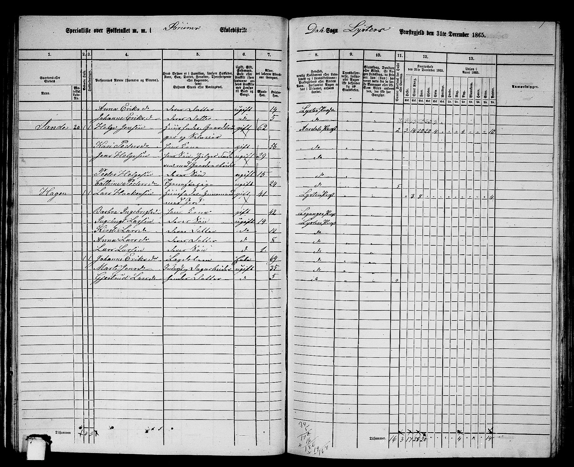 RA, 1865 census for Luster, 1865, p. 62