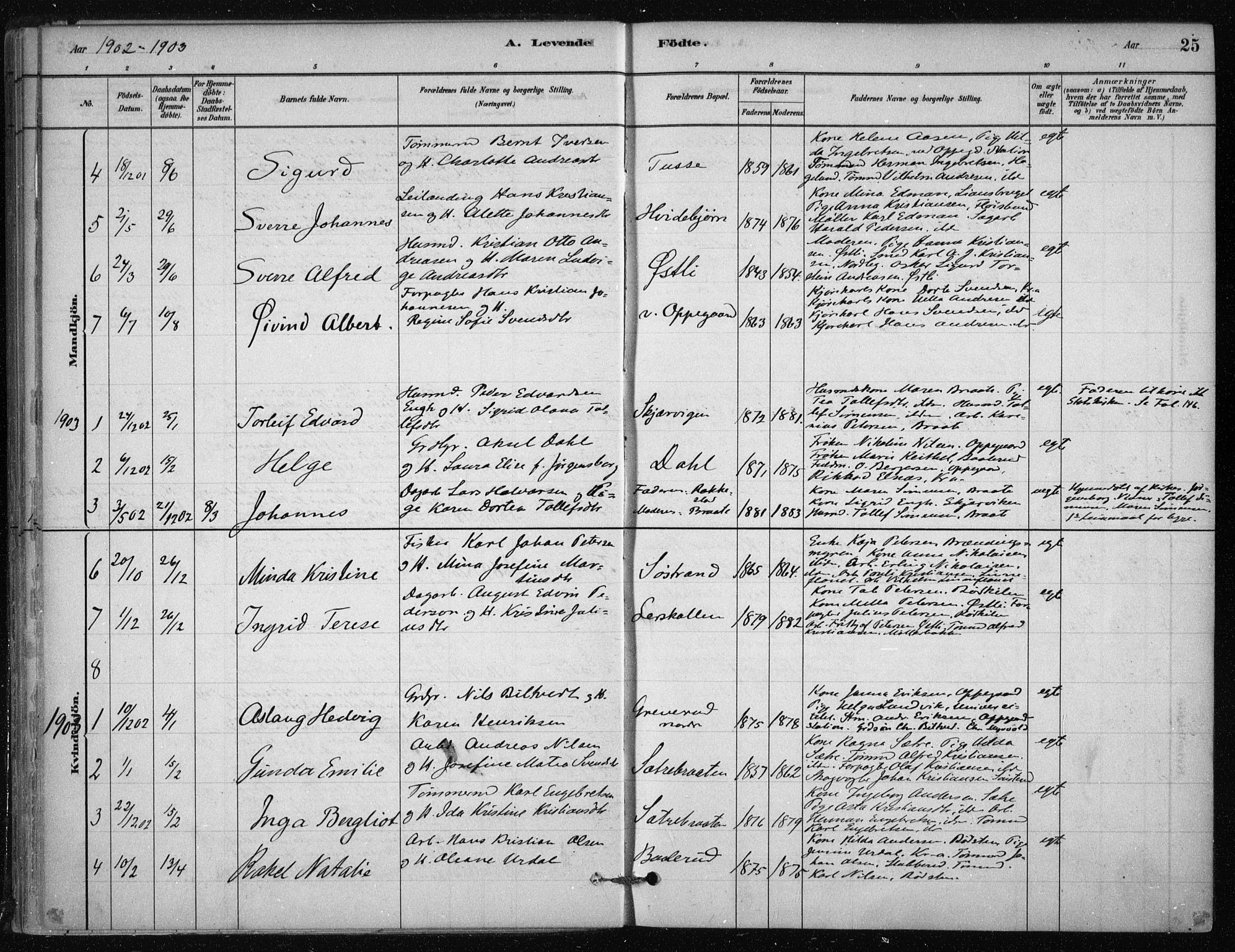 Nesodden prestekontor Kirkebøker, AV/SAO-A-10013/F/Fb/L0001: Parish register (official) no. II 1, 1880-1915, p. 25
