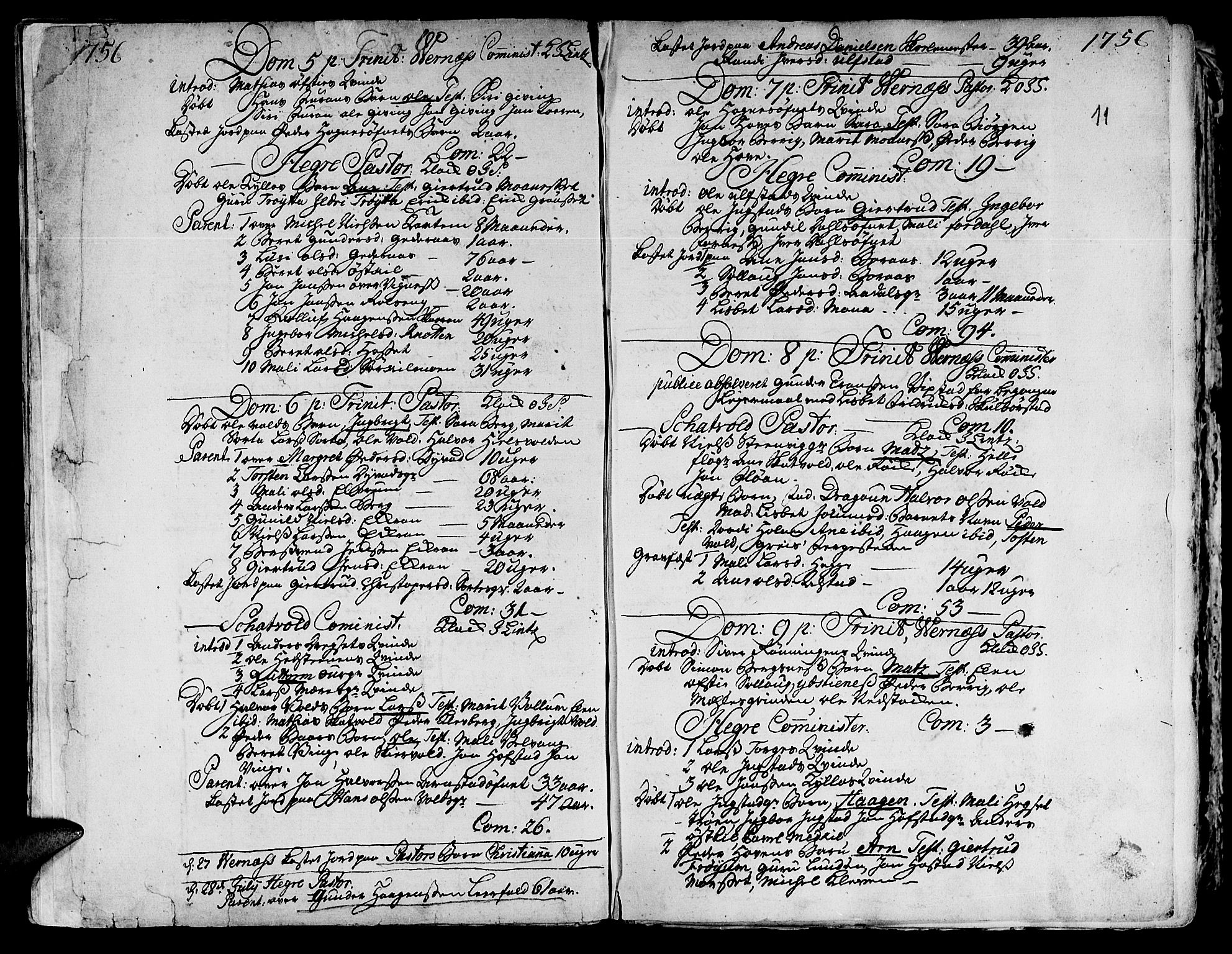 Ministerialprotokoller, klokkerbøker og fødselsregistre - Nord-Trøndelag, SAT/A-1458/709/L0057: Parish register (official) no. 709A05, 1755-1780, p. 11