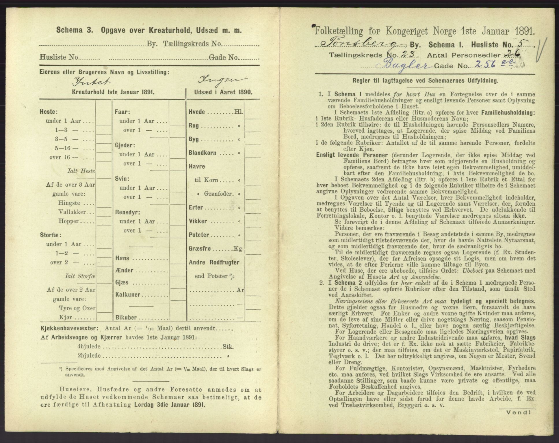 RA, 1891 census for 0705 Tønsberg, 1891, p. 752