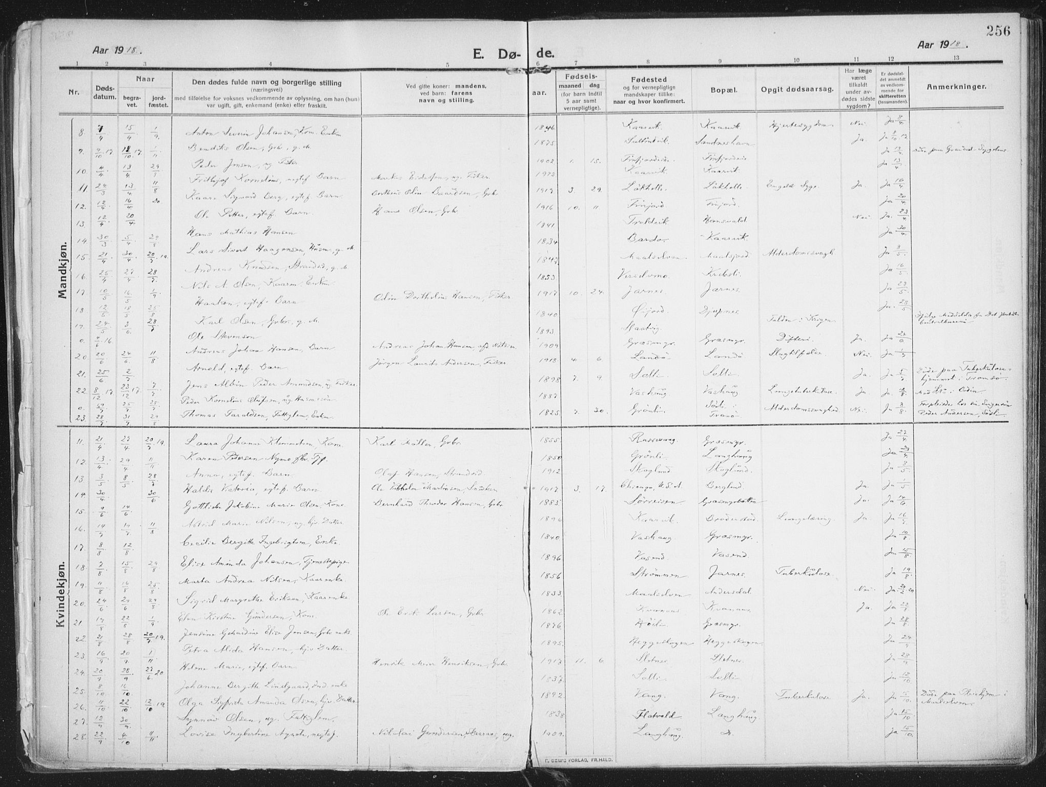 Lenvik sokneprestembete, AV/SATØ-S-1310/H/Ha/Haa/L0016kirke: Parish register (official) no. 16, 1910-1924, p. 256