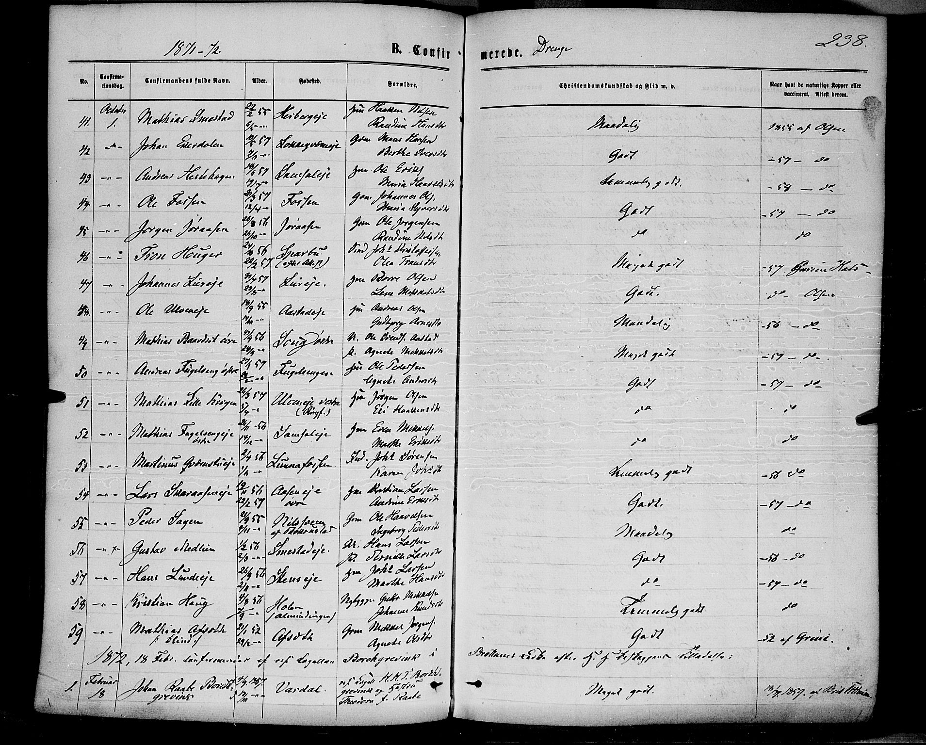Ringsaker prestekontor, SAH/PREST-014/K/Ka/L0011: Parish register (official) no. 11, 1870-1878, p. 238