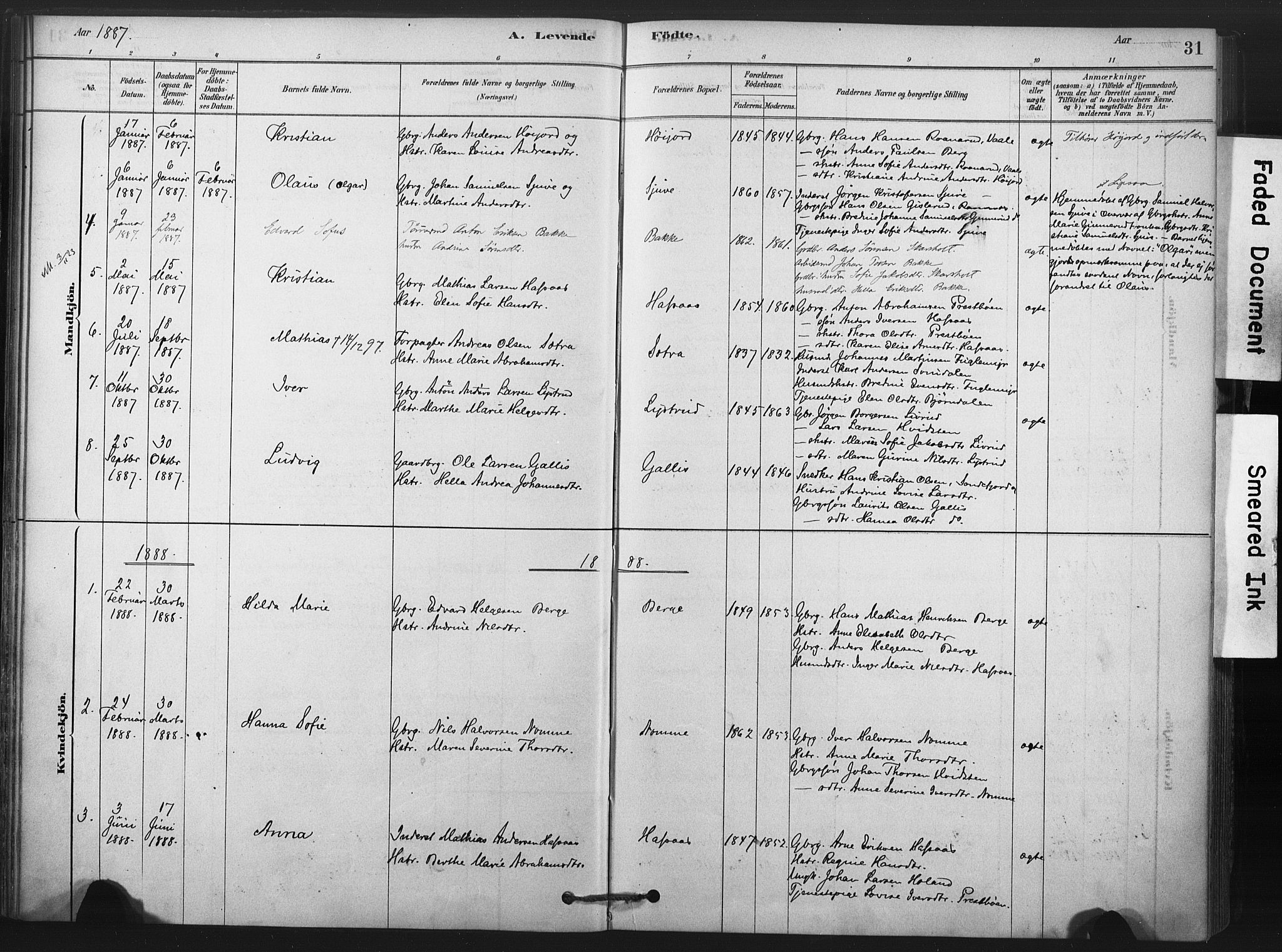 Andebu kirkebøker, AV/SAKO-A-336/F/Fa/L0008: Parish register (official) no. 8, 1878-1902, p. 31