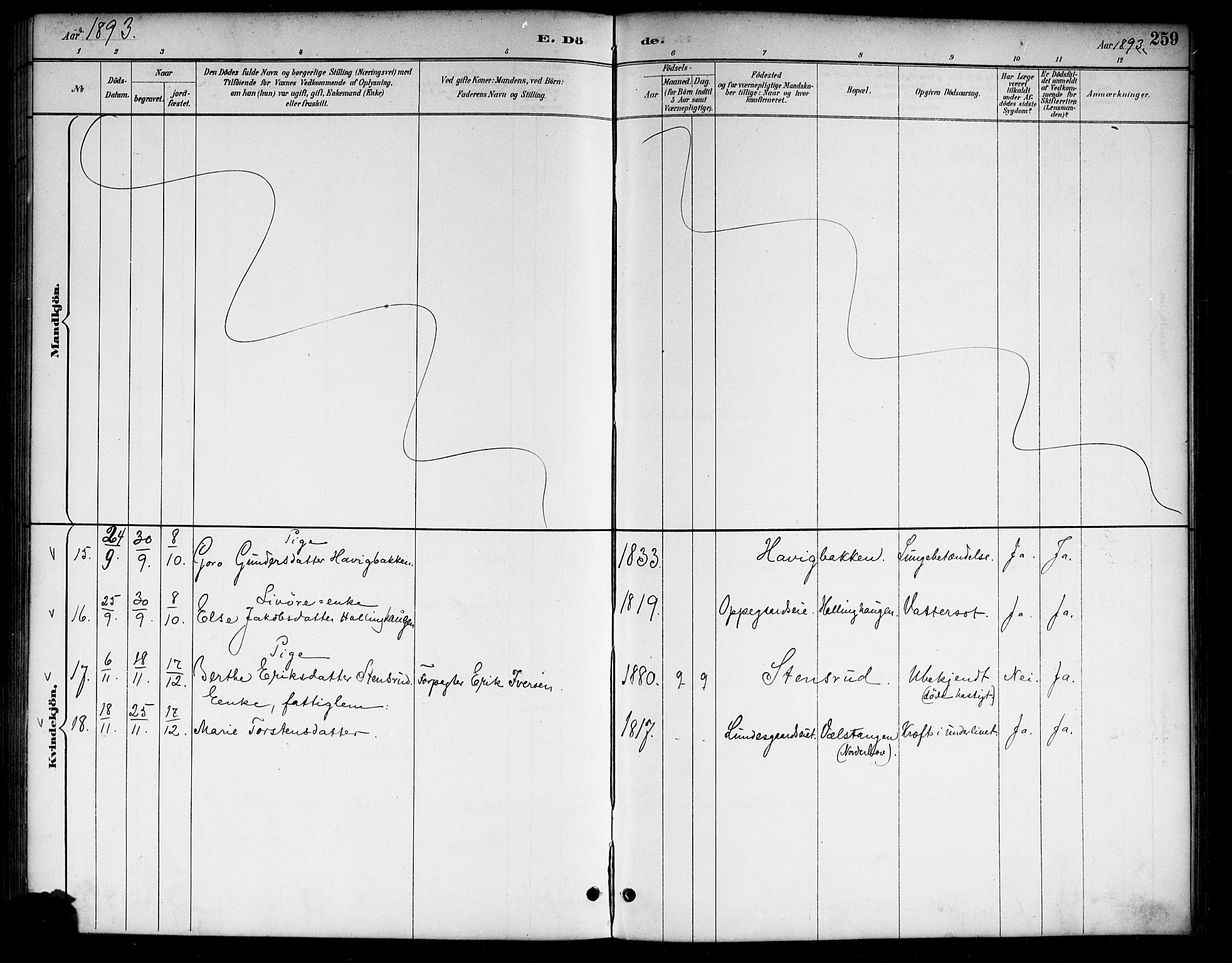 Lunder kirkebøker, SAKO/A-629/G/Ga/L0004: Parish register (copy) no. I 4, 1889-1917, p. 259