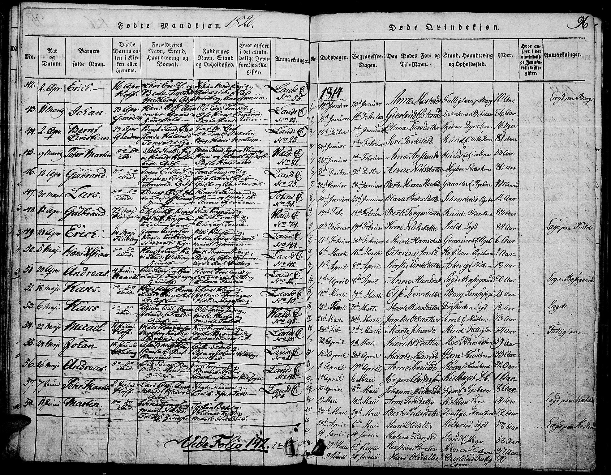 Land prestekontor, SAH/PREST-120/H/Ha/Haa/L0007: Parish register (official) no. 7, 1814-1830, p. 96