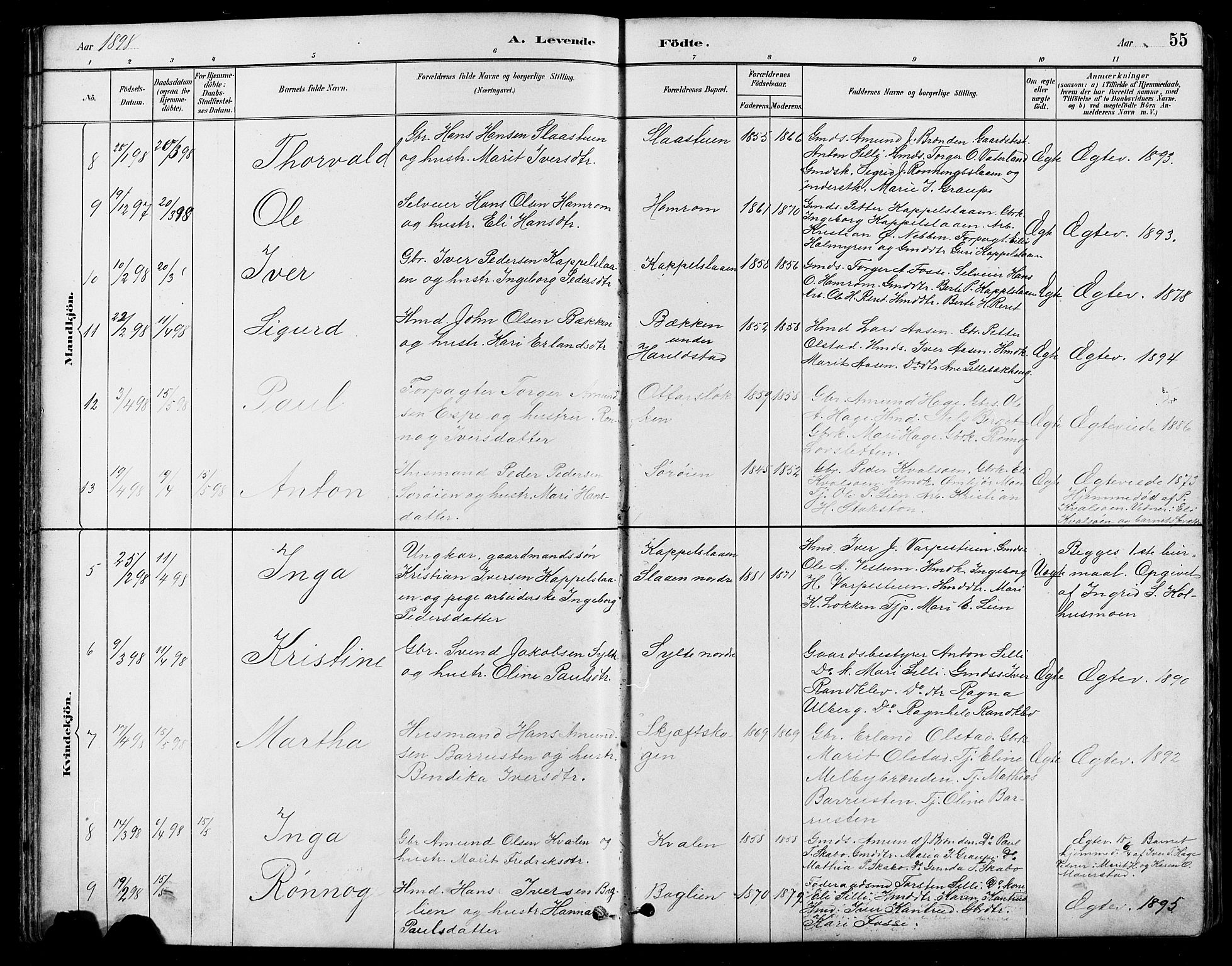 Nord-Fron prestekontor, AV/SAH-PREST-080/H/Ha/Hab/L0005: Parish register (copy) no. 5, 1884-1914, p. 55