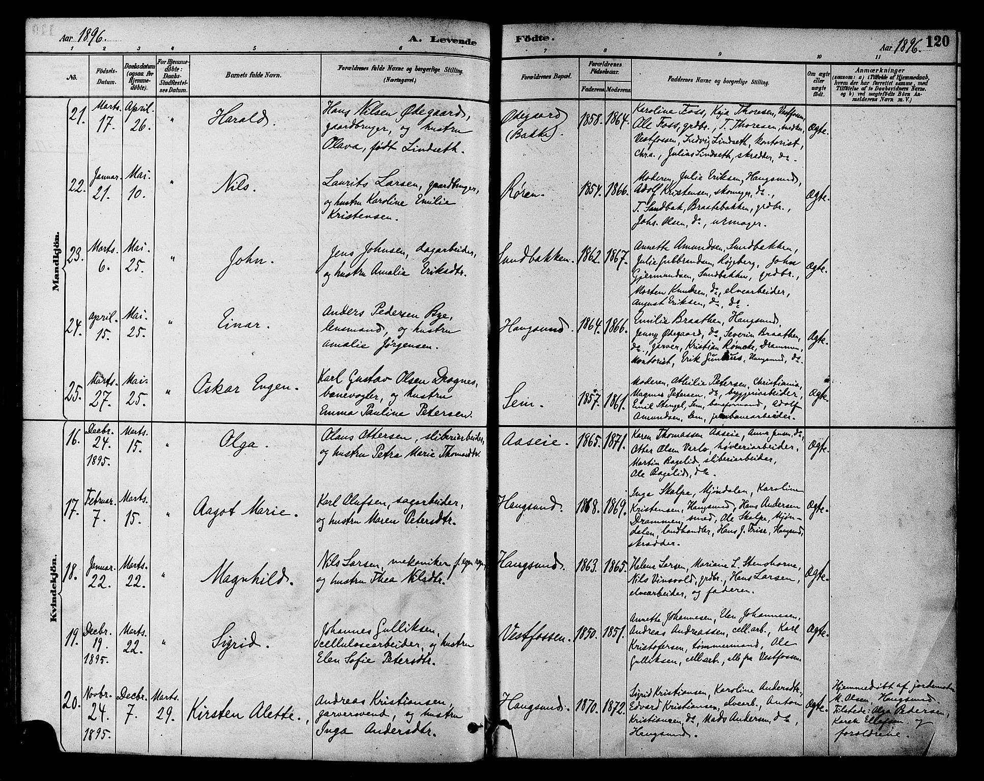 Eiker kirkebøker, AV/SAKO-A-4/F/Fb/L0002: Parish register (official) no. II 2, 1889-1896, p. 120