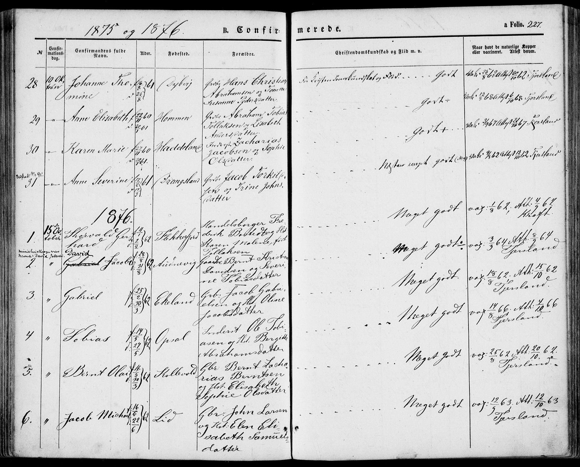 Lyngdal sokneprestkontor, AV/SAK-1111-0029/F/Fa/Fac/L0010: Parish register (official) no. A 10, 1865-1878, p. 227