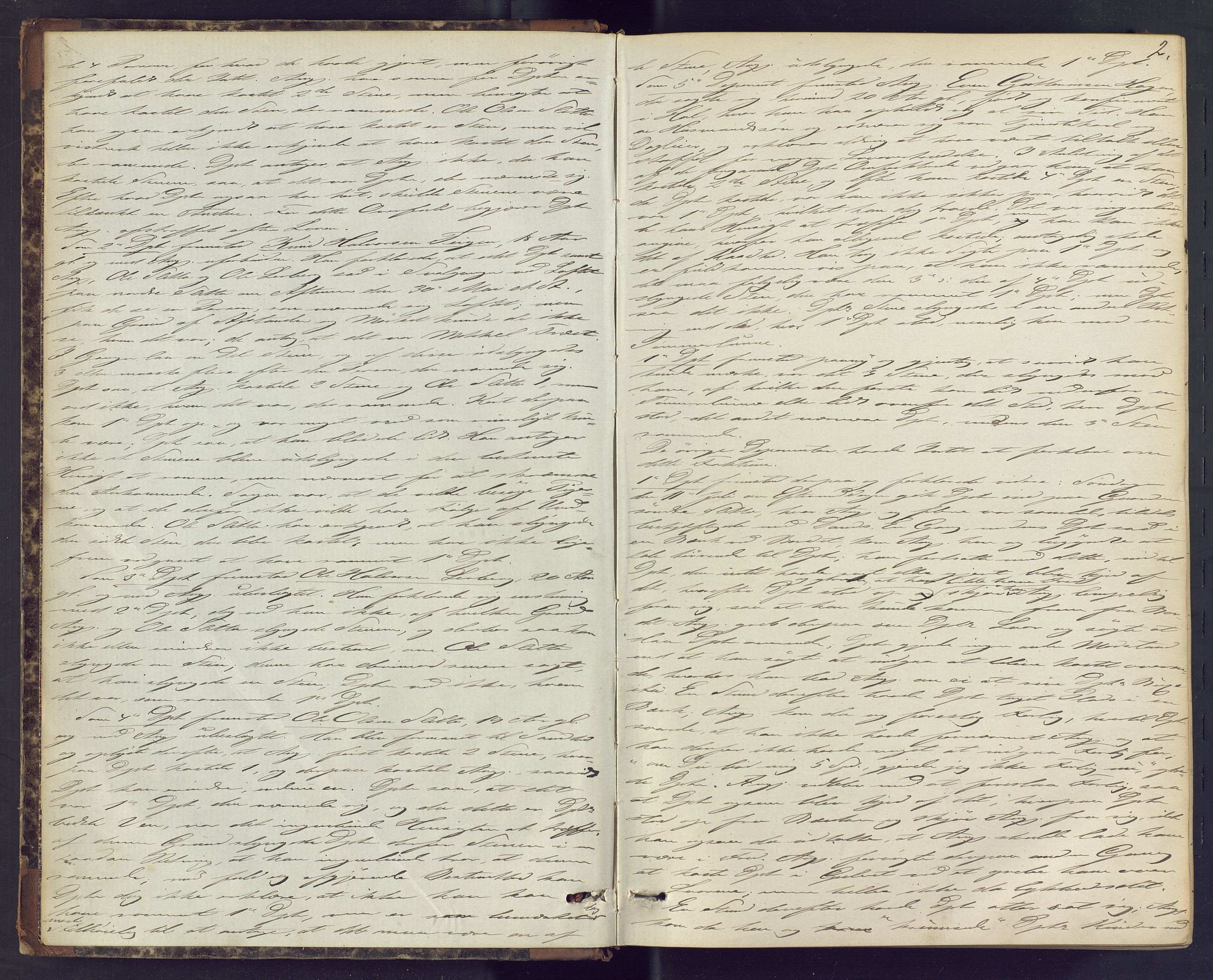 Hallingdal sorenskriveri, SAKO/A-121/F/Fc/L0016: Ekstrarettsprotokoll, 1875-1878, p. 2