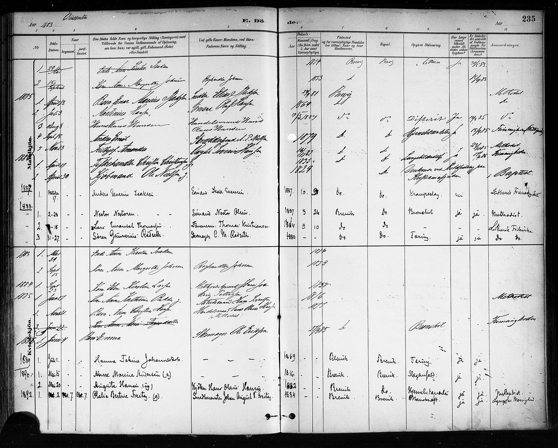 Brevik kirkebøker, SAKO/A-255/F/Fa/L0007: Parish register (official) no. 7, 1882-1900, p. 235