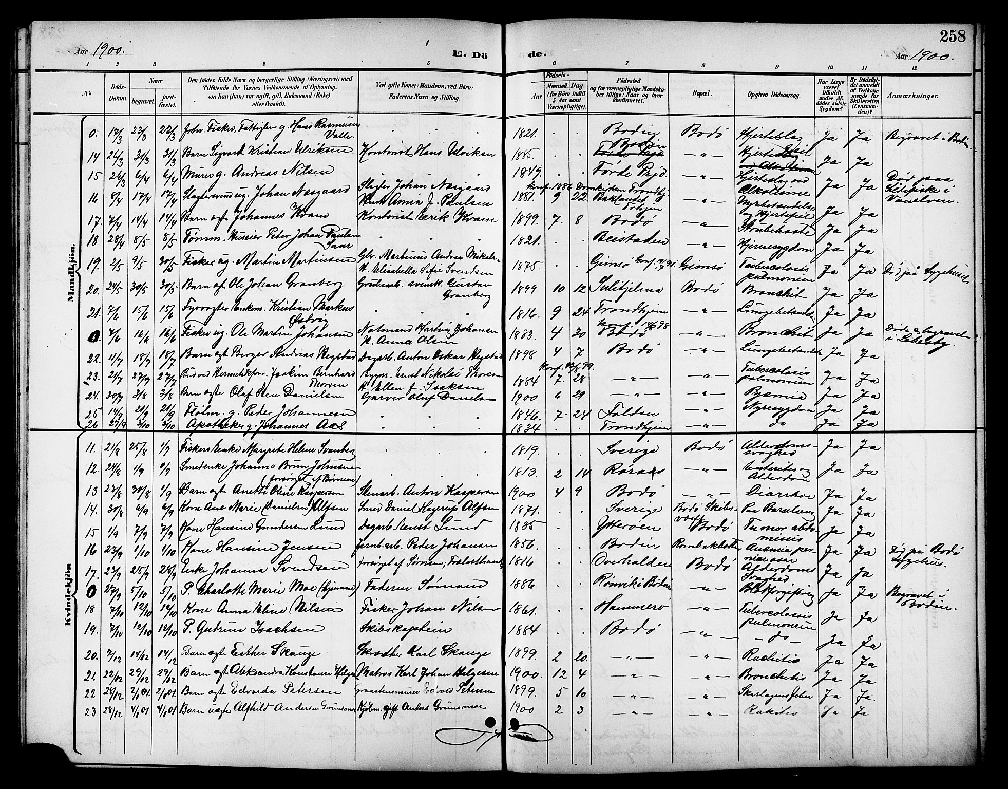 Ministerialprotokoller, klokkerbøker og fødselsregistre - Nordland, SAT/A-1459/801/L0033: Parish register (copy) no. 801C08, 1898-1910, p. 258