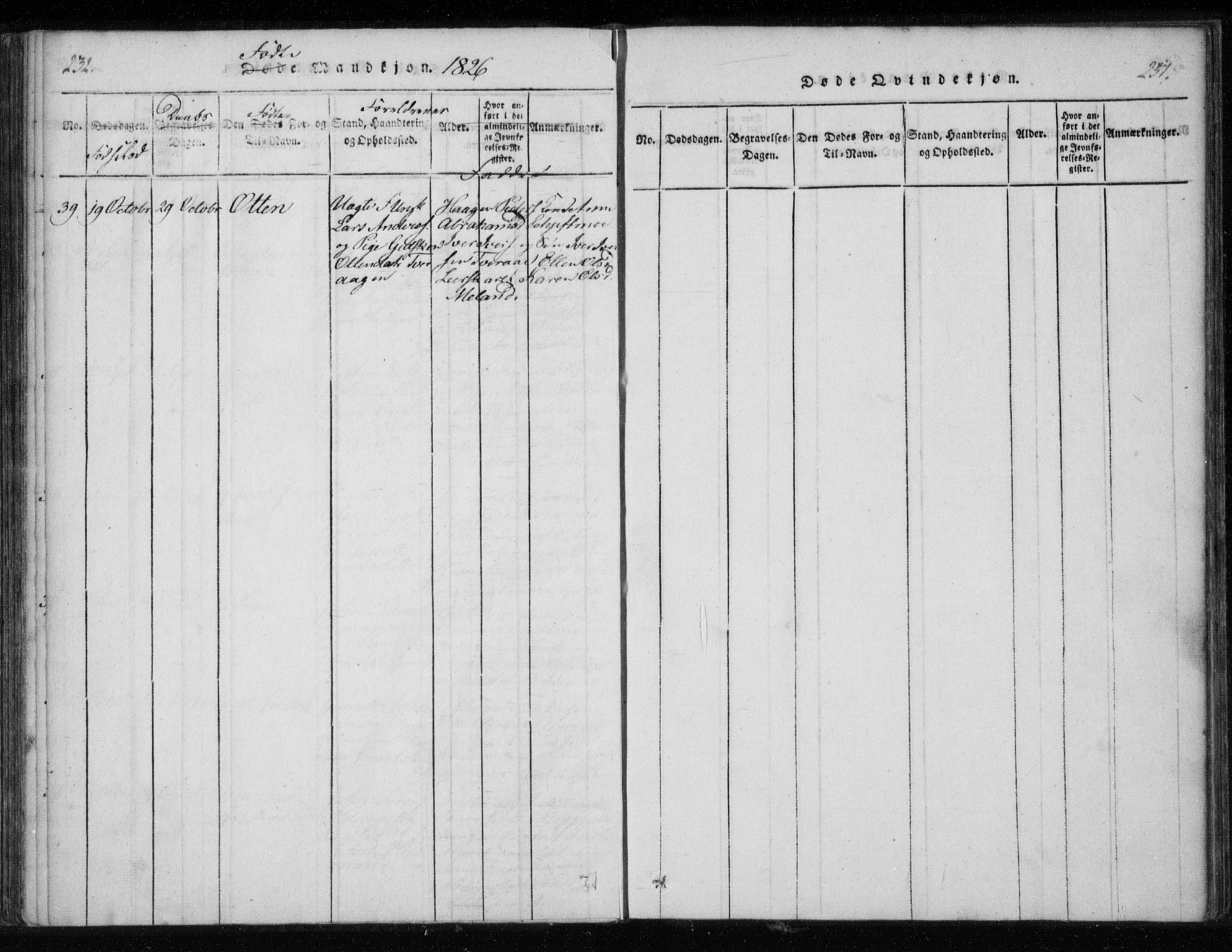 Ministerialprotokoller, klokkerbøker og fødselsregistre - Nordland, AV/SAT-A-1459/825/L0353: Parish register (official) no. 825A07, 1820-1826, p. 232-233